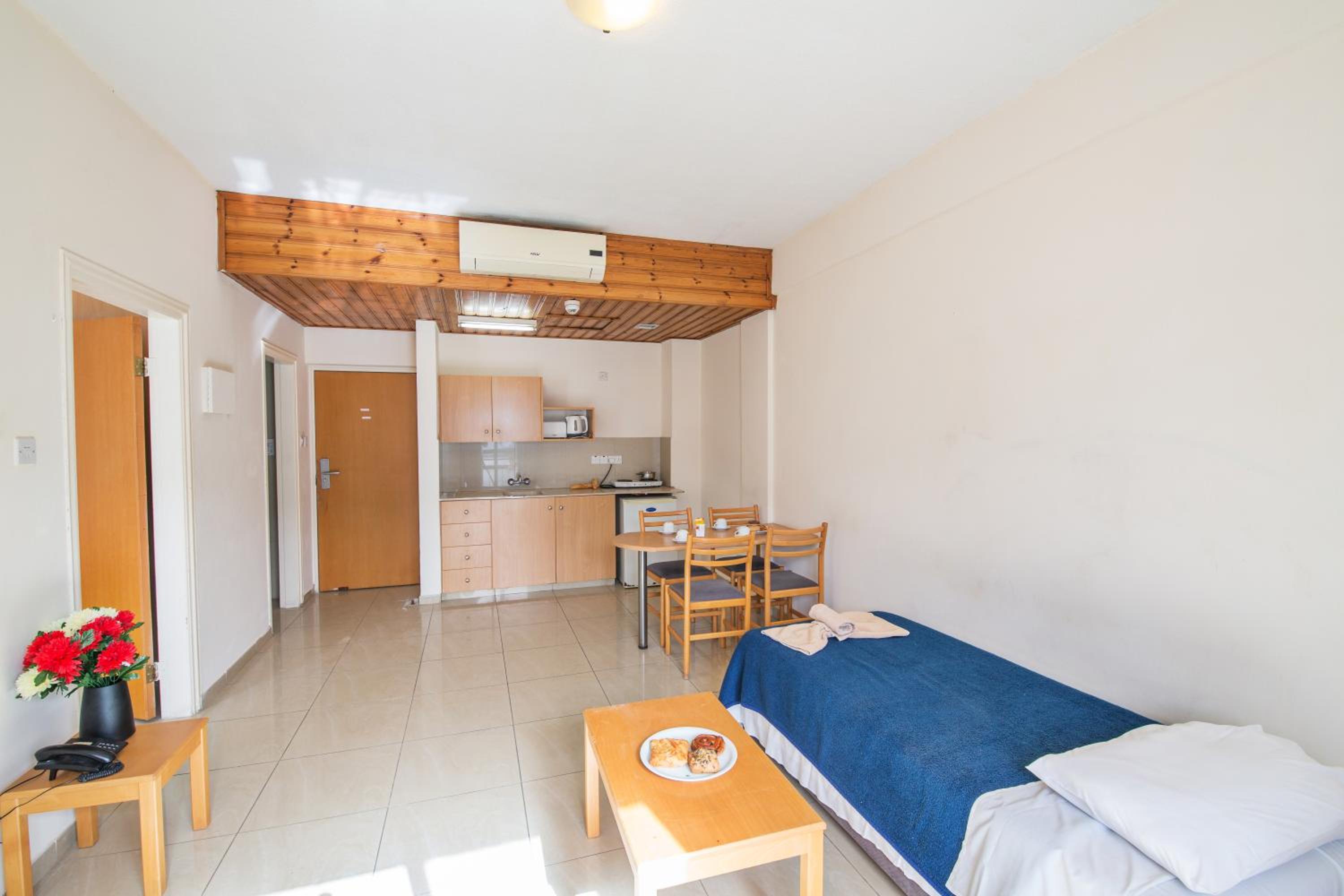 One-Bedroom Apartment photo 3