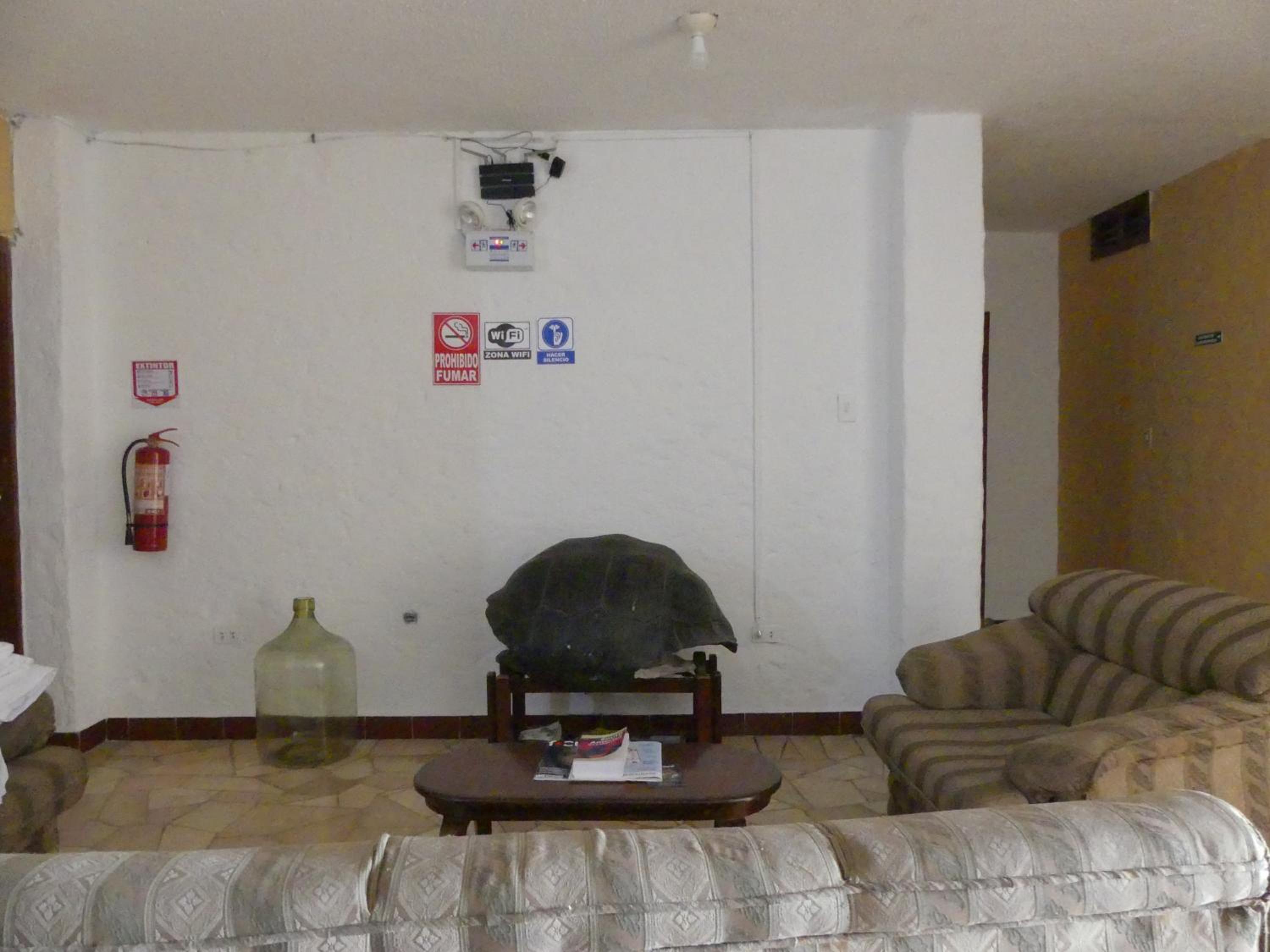 Budget Twin Room photo 2