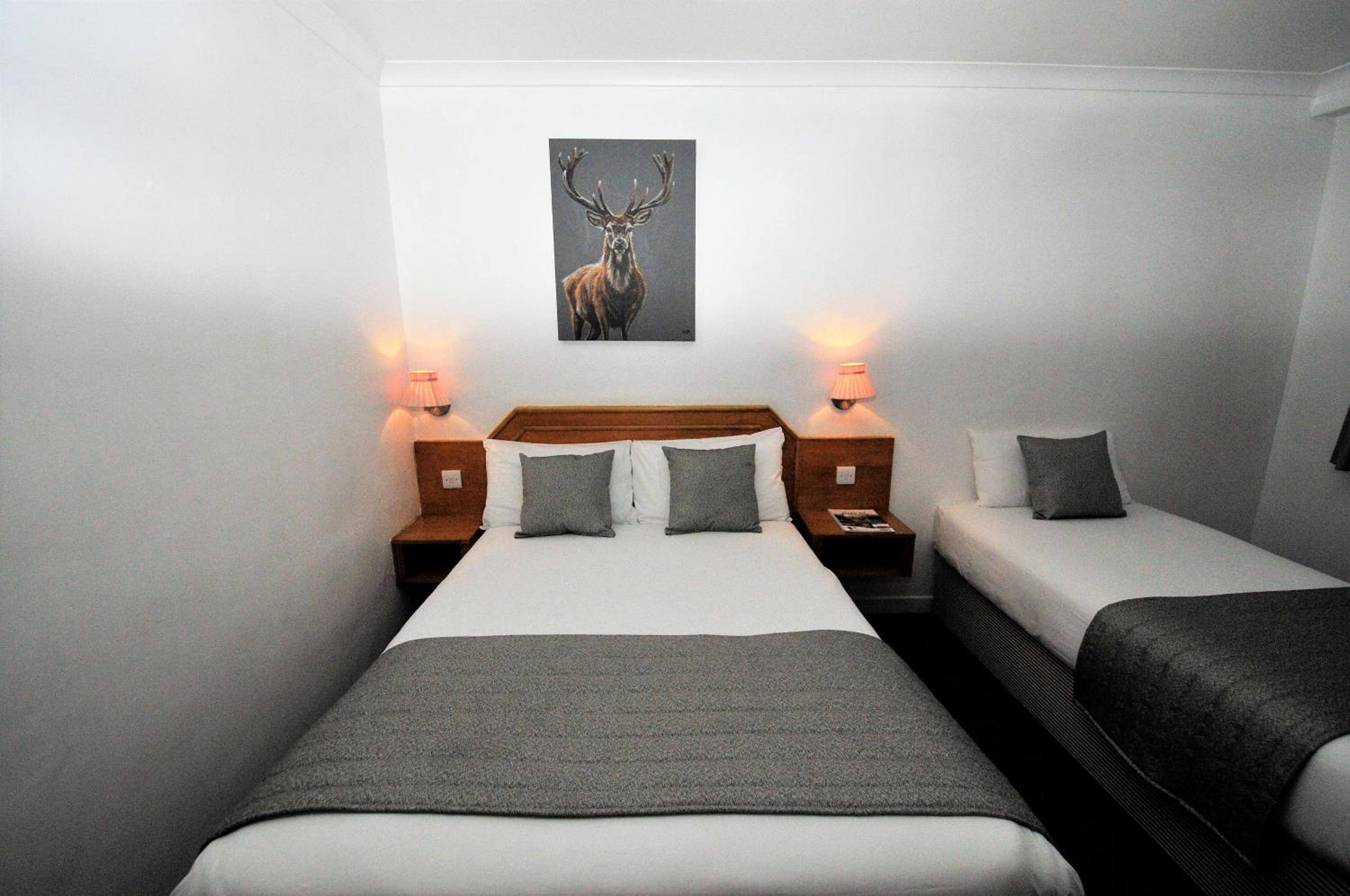 Double Room with Single Bed and Sofa Bed photo 2