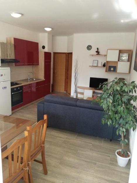One-Bedroom Apartment - Ground Floor - Photo 2