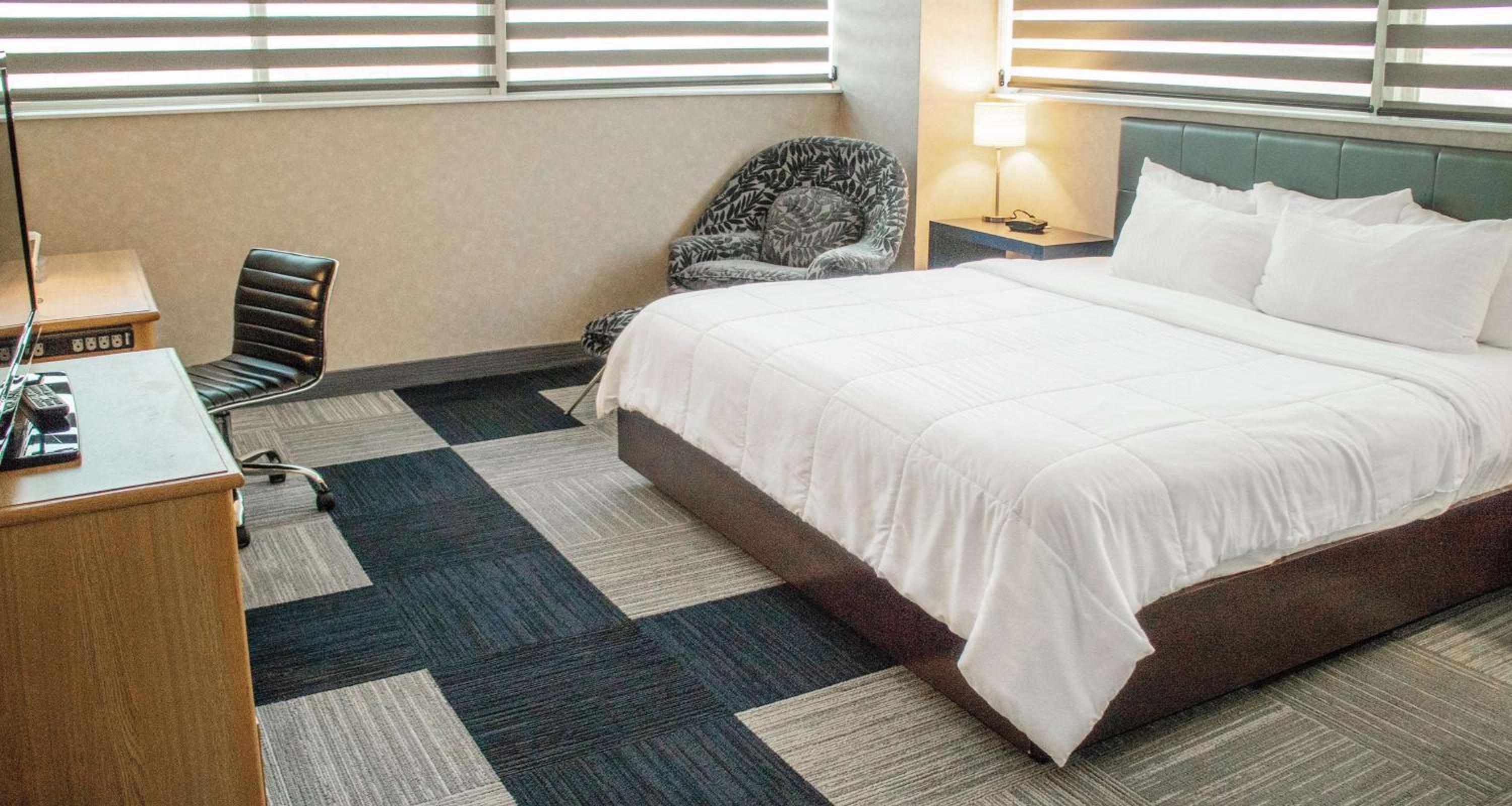 King Room - Pet-Friendly - Photo 3