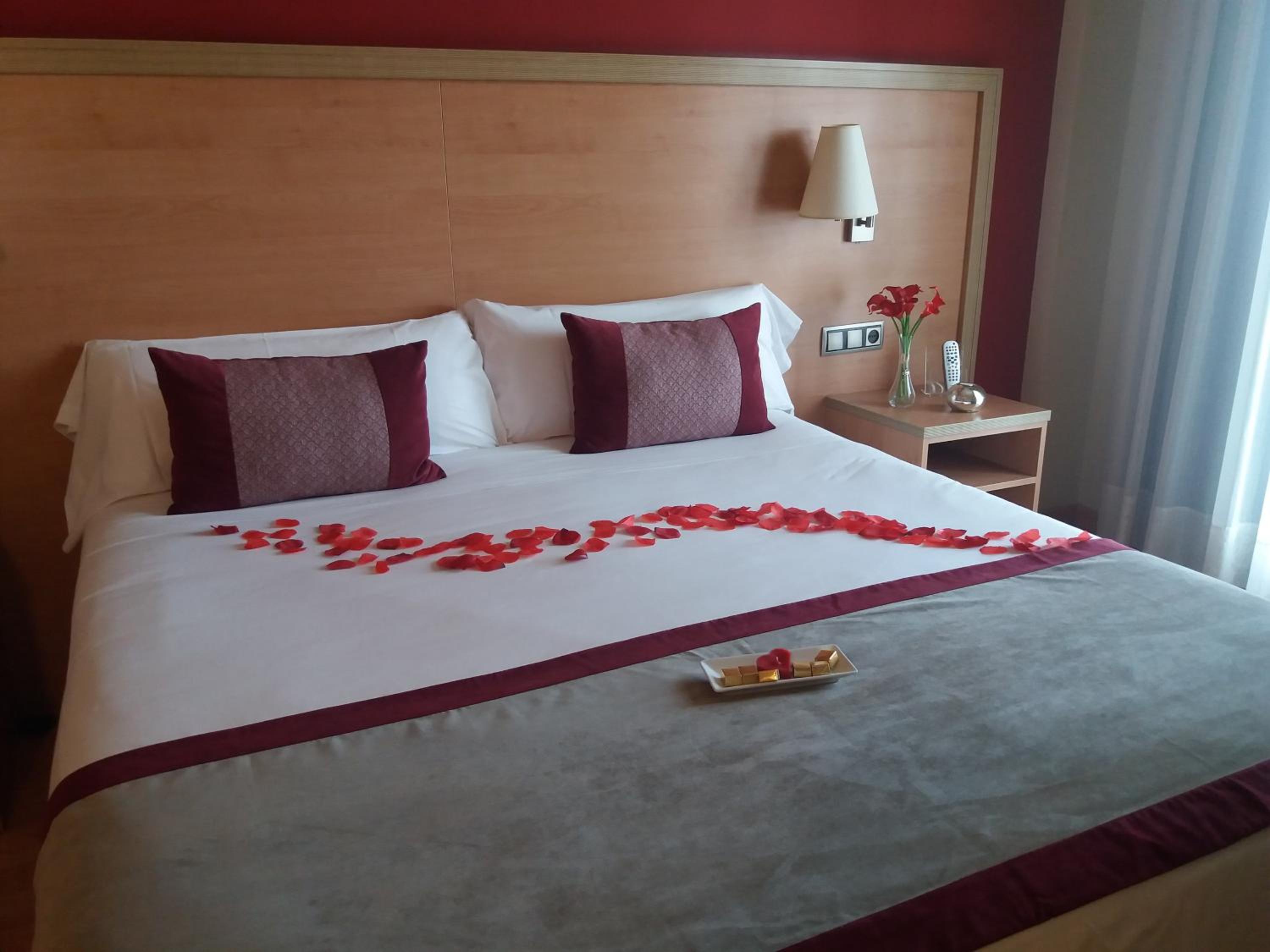 Superior Double or Twin Room - Photo 3
