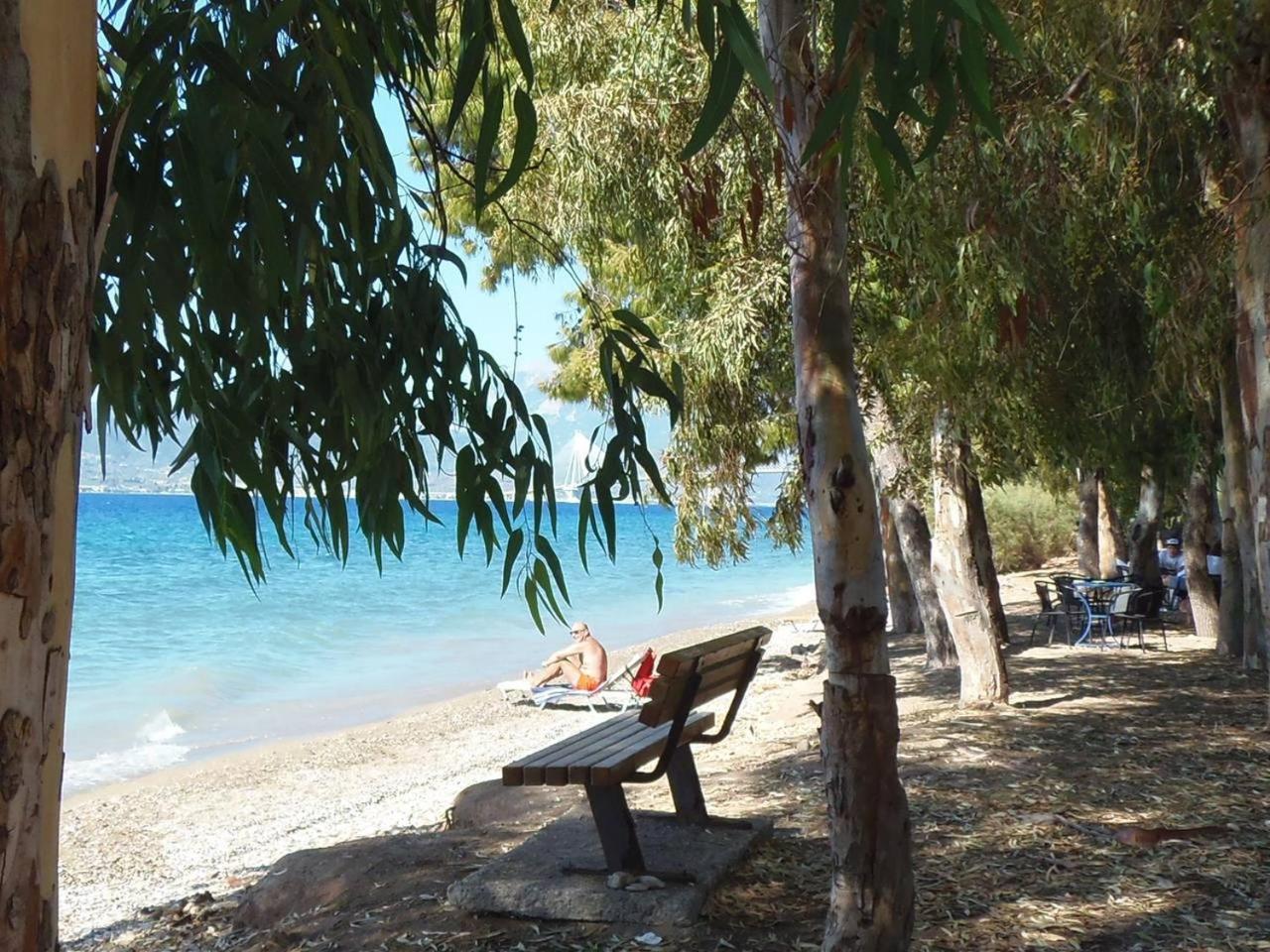 Villa - Beach Front photo 3