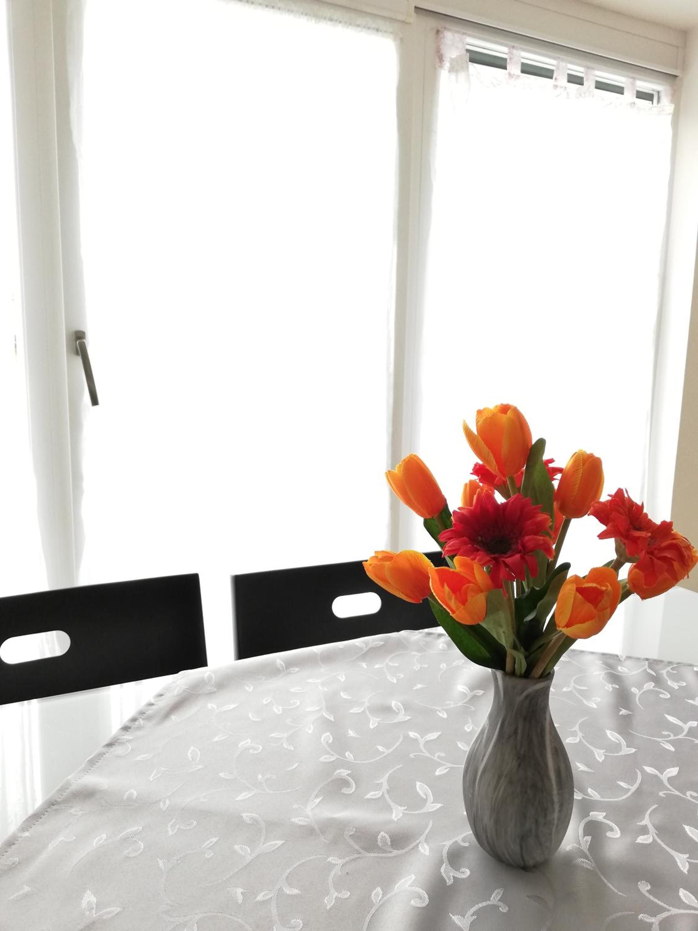Apartment with Terrace - Photo 18