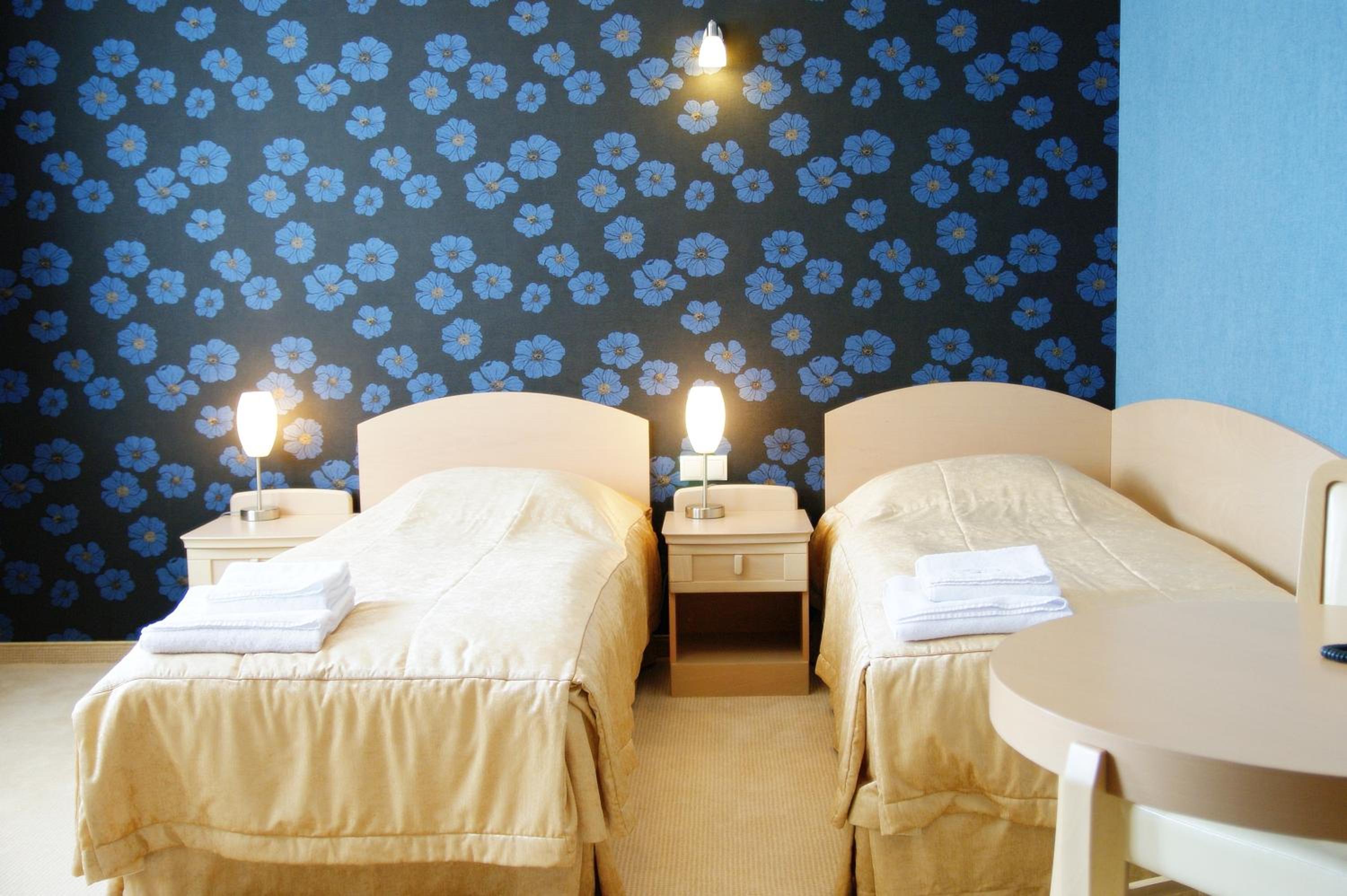 Double or Twin Room photo 2