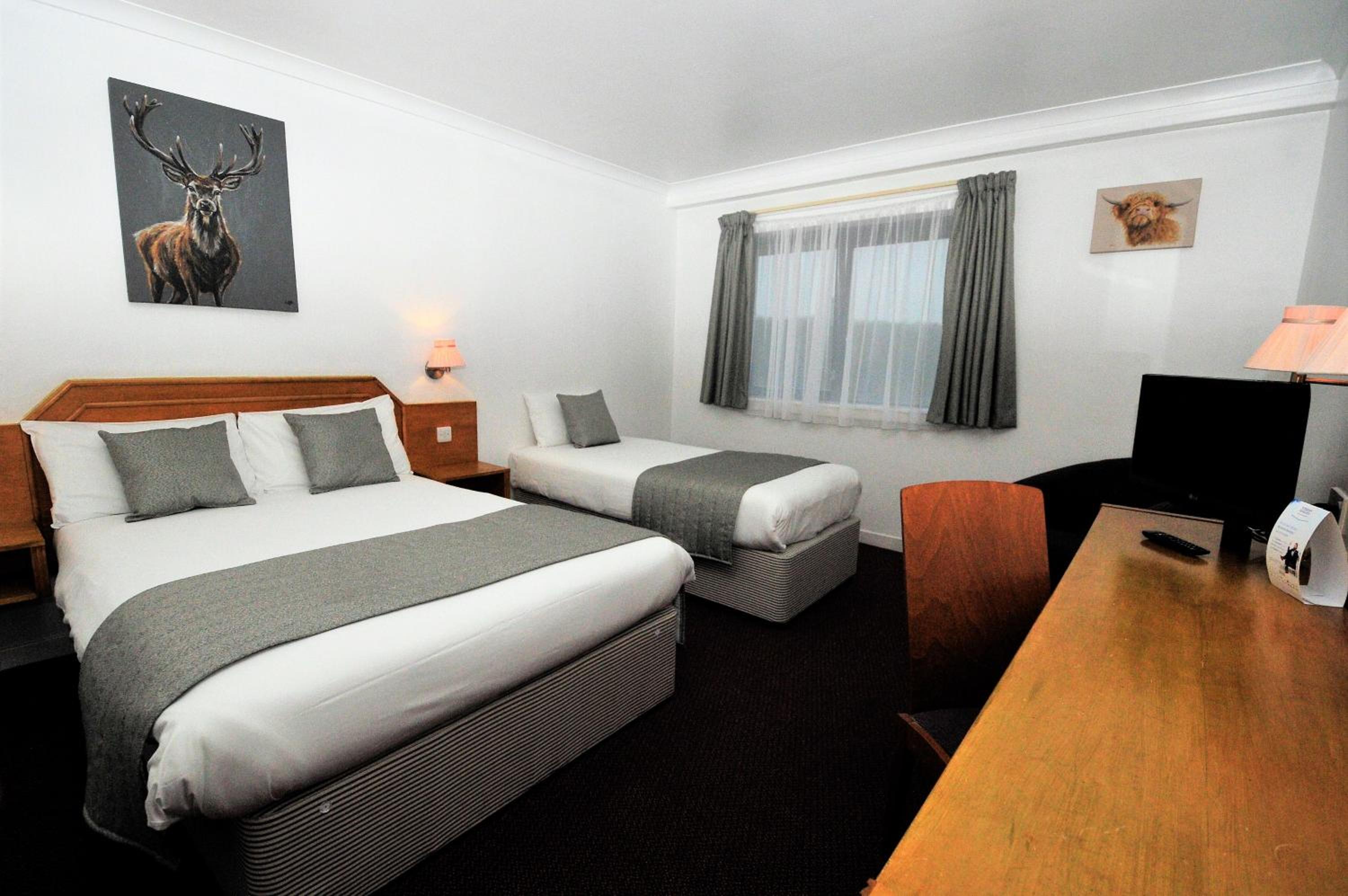 Double Room with Single Bed and Sofa Bed photo 3