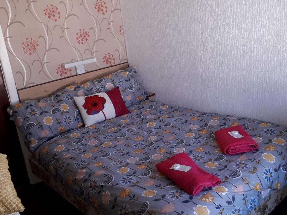 Standard Double Room photo 2