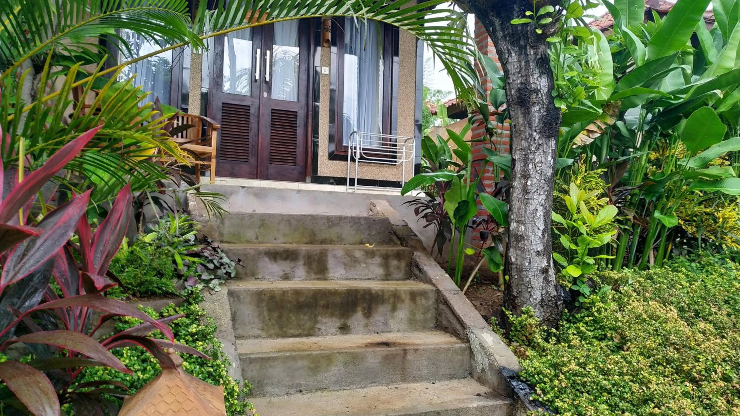 Deluxe Bungalow with Garden View photo 3