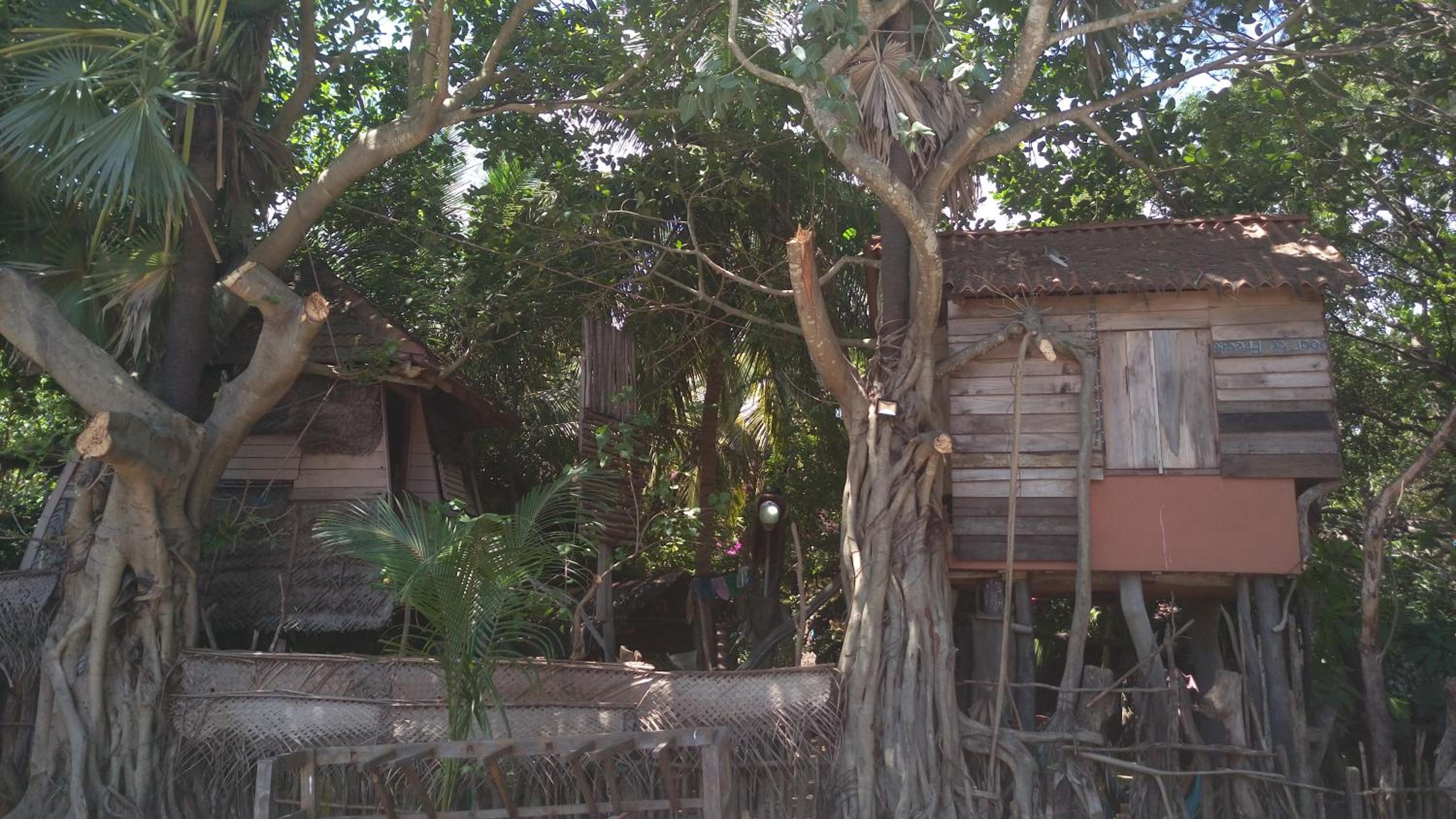Single Room in Tree House with Shared Bathroom photo 3