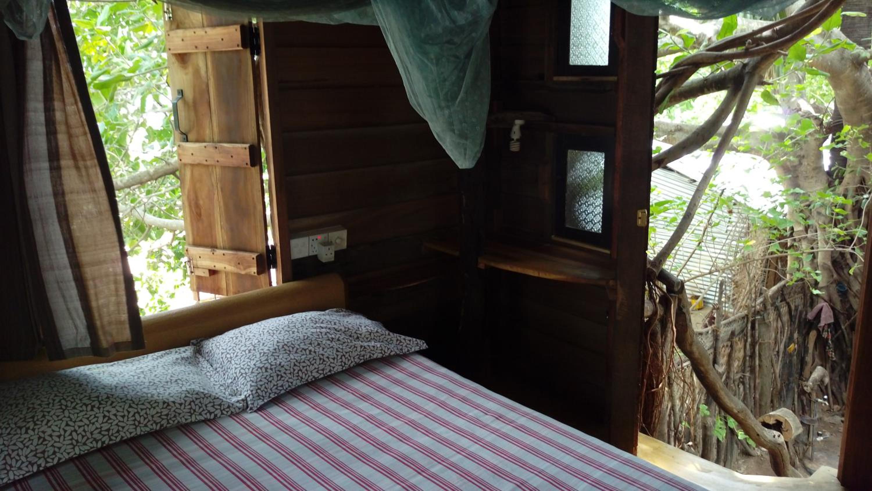Single Room in Tree House with Shared Bathroom photo 1