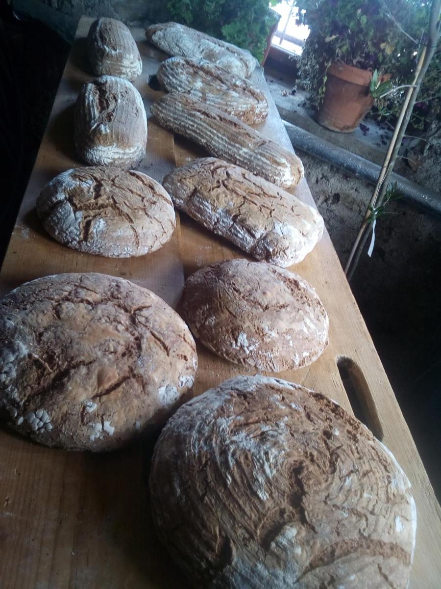 Triple Room with Balcony photo 2
