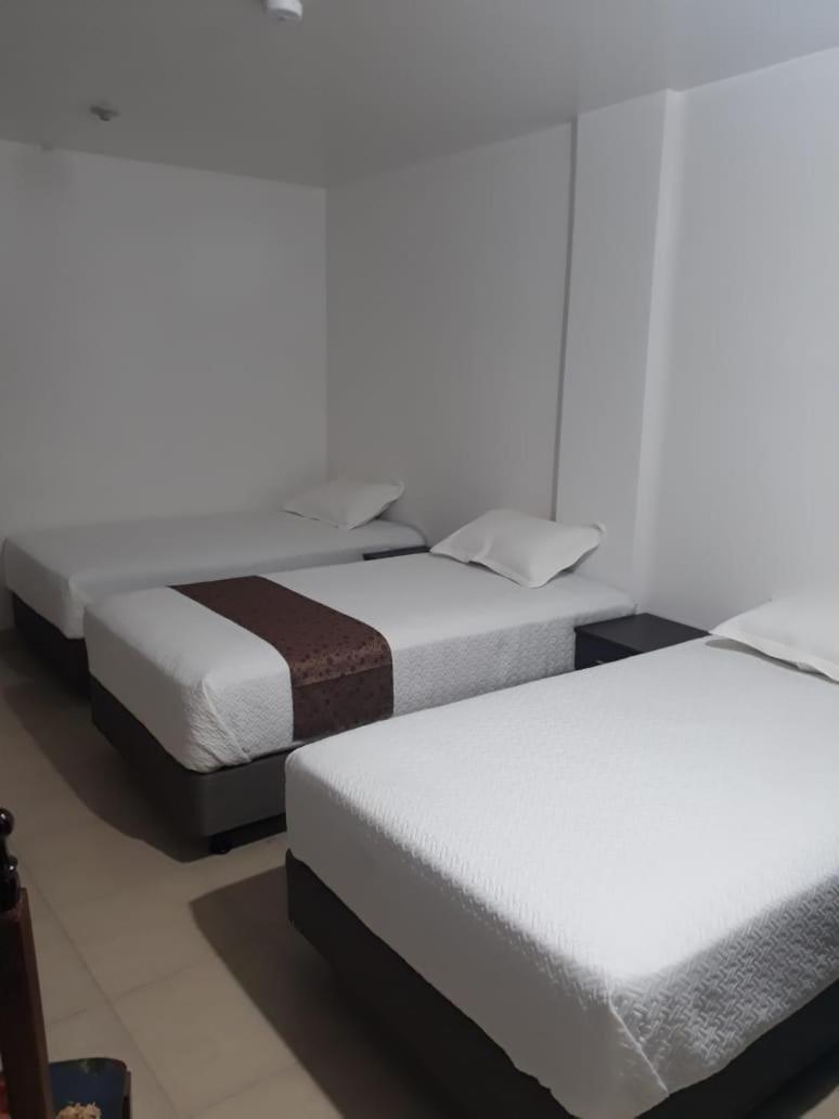 Triple Room photo 1