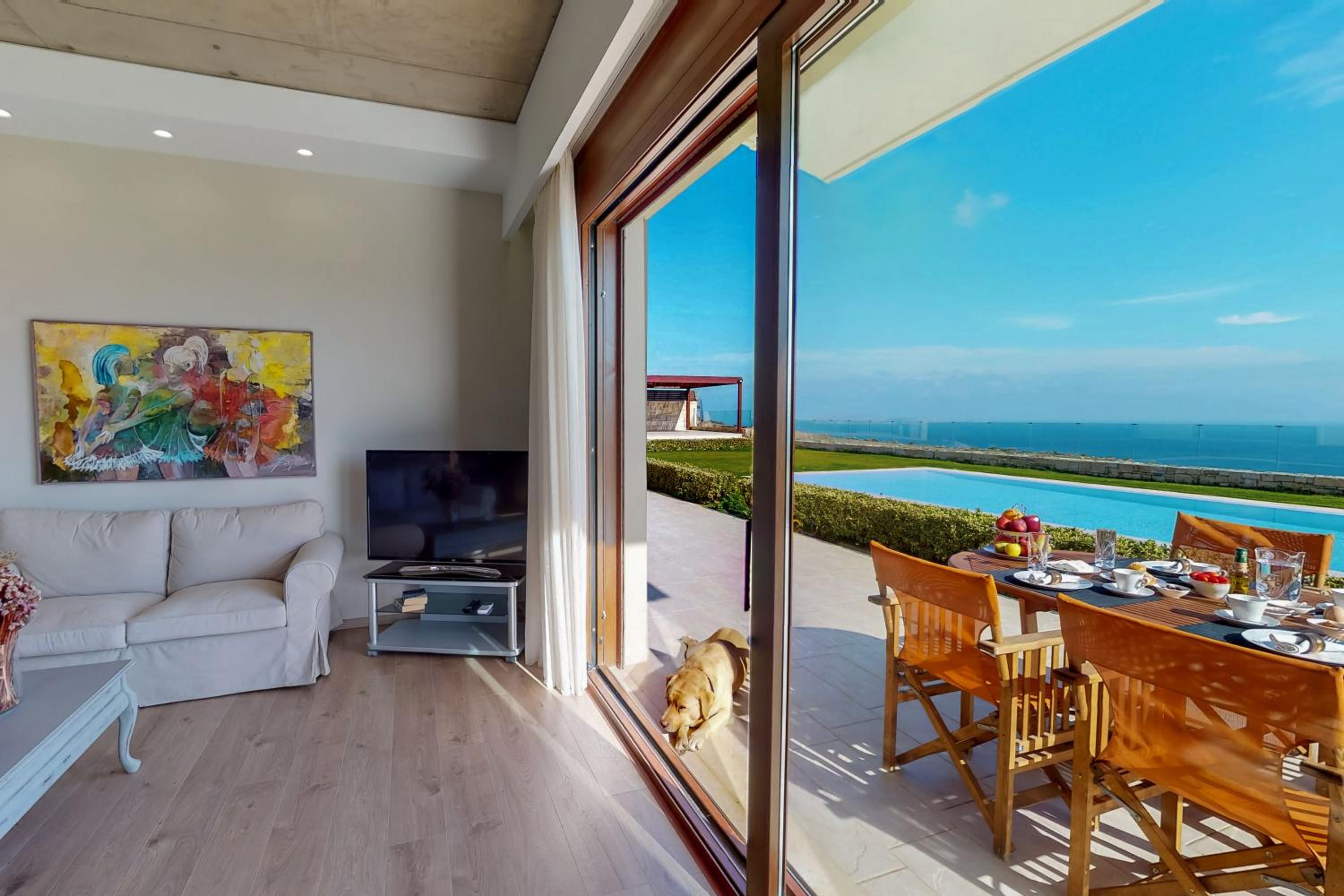 Superior Villa photo 2
