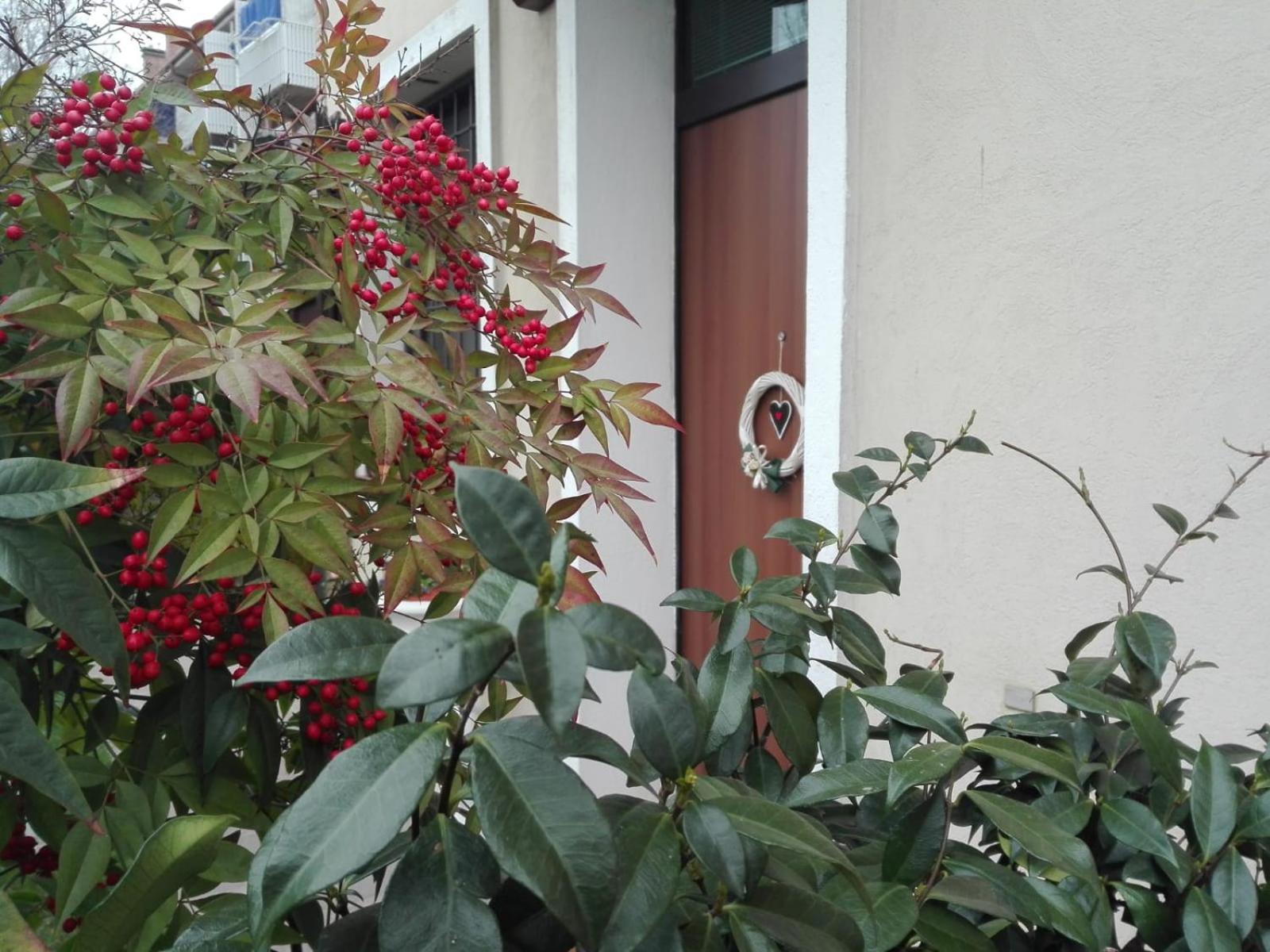 Apartment - Photo 22