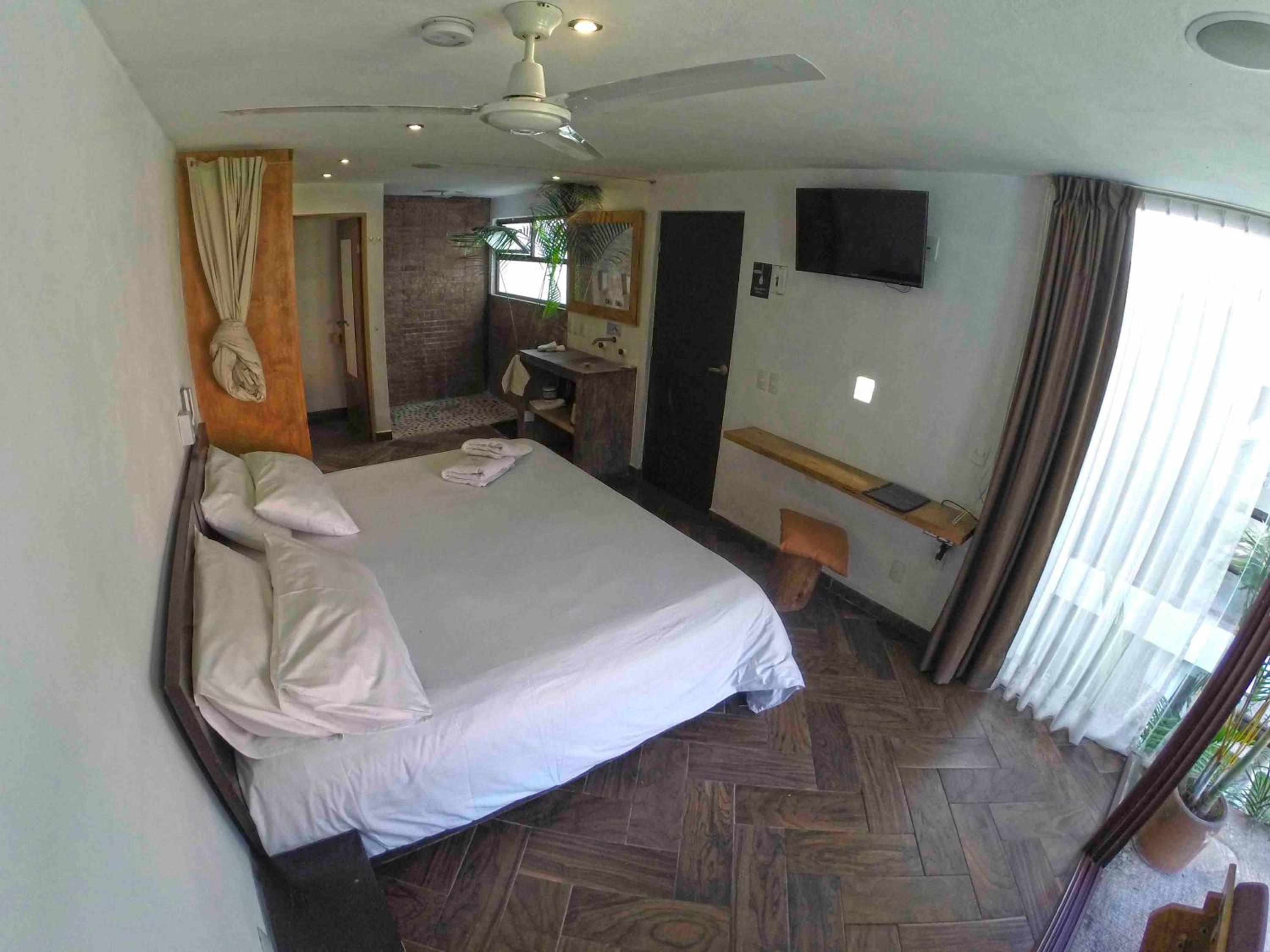 King Suite with Terrace photo 3