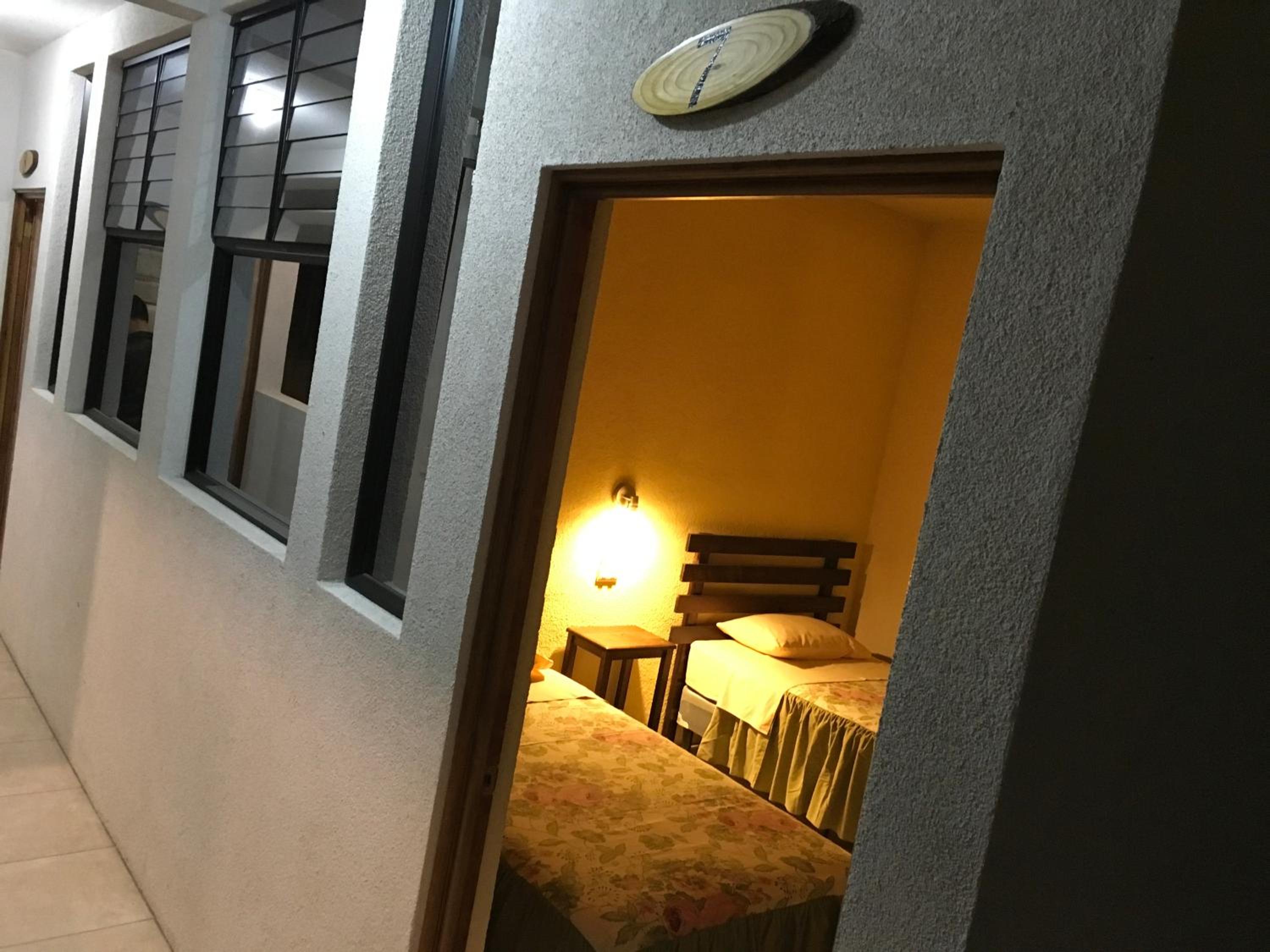 Twin Room photo 2