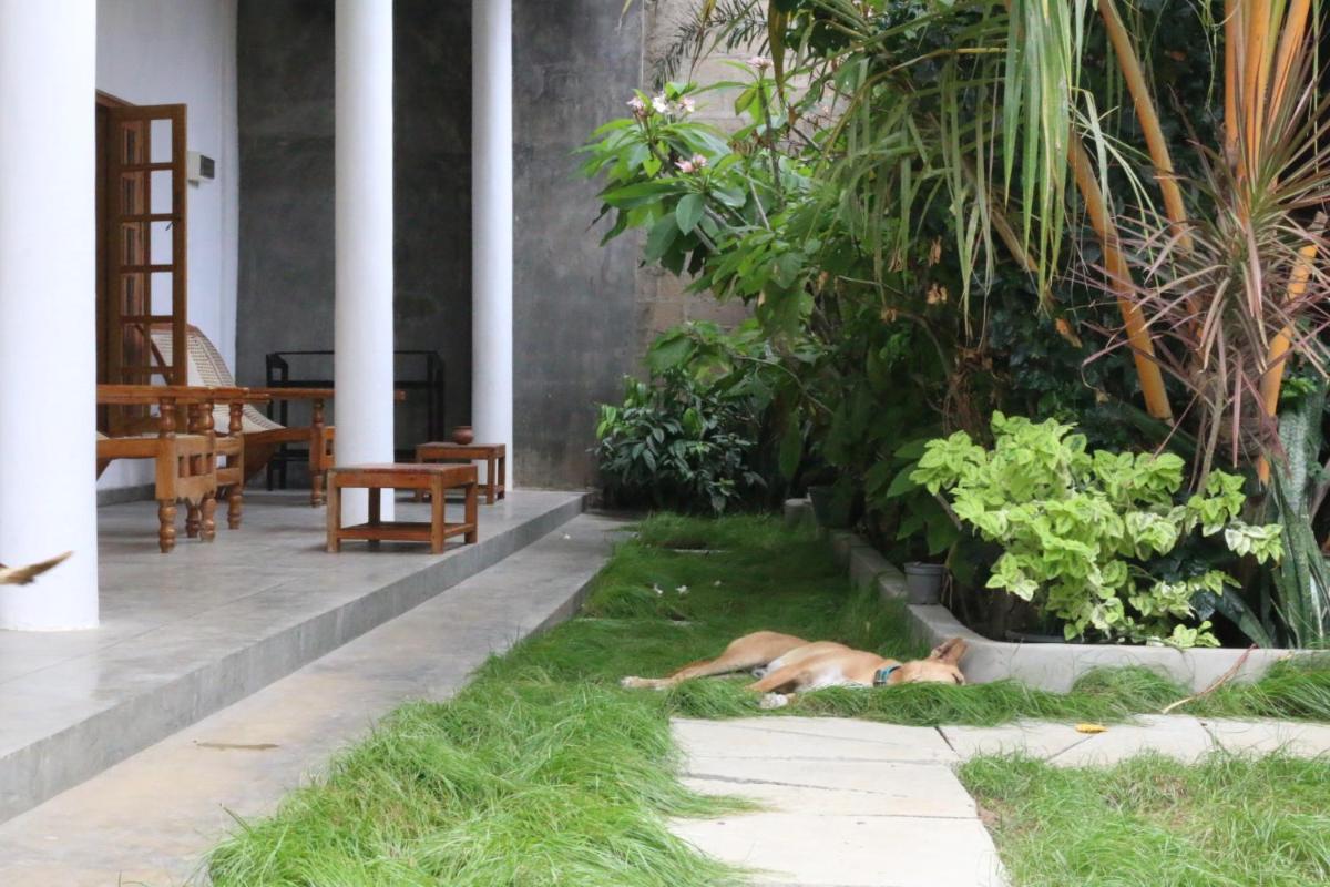 Family Room with Garden View photo 2