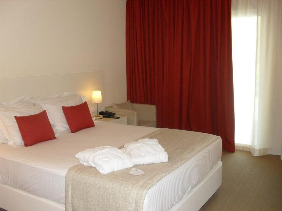 Suite - Photo 1