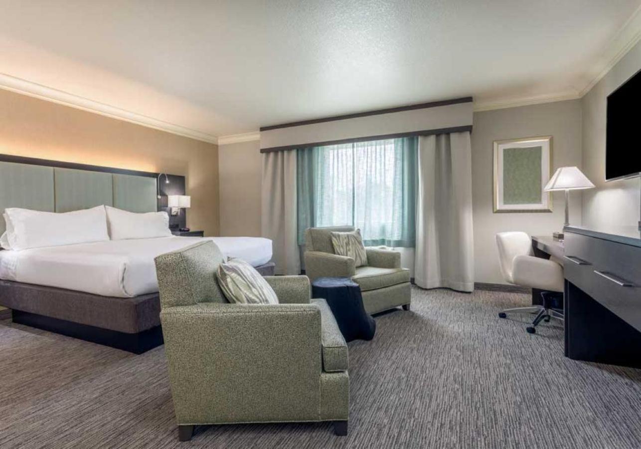 Executive King Room - Non-Smoking