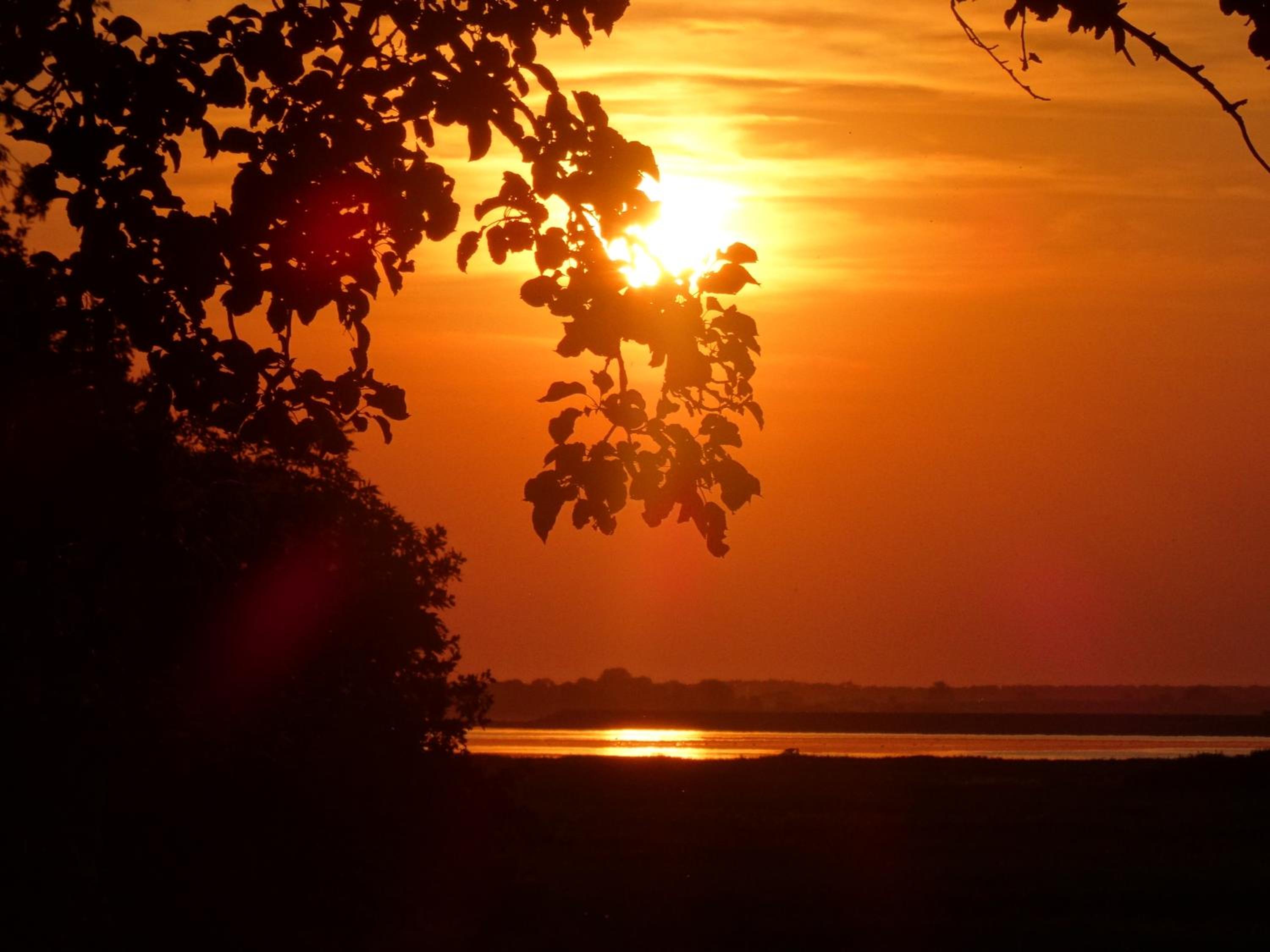 Apartment with Sea View photo 3