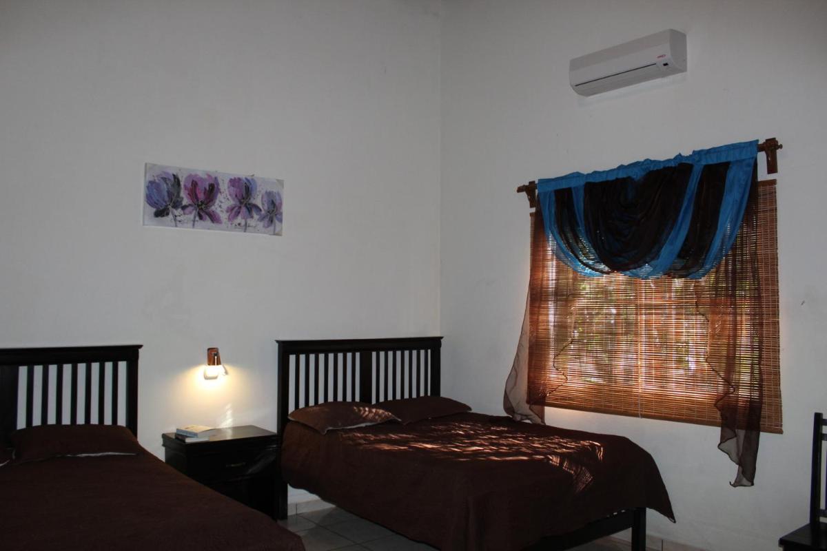 Twin Room photo 2