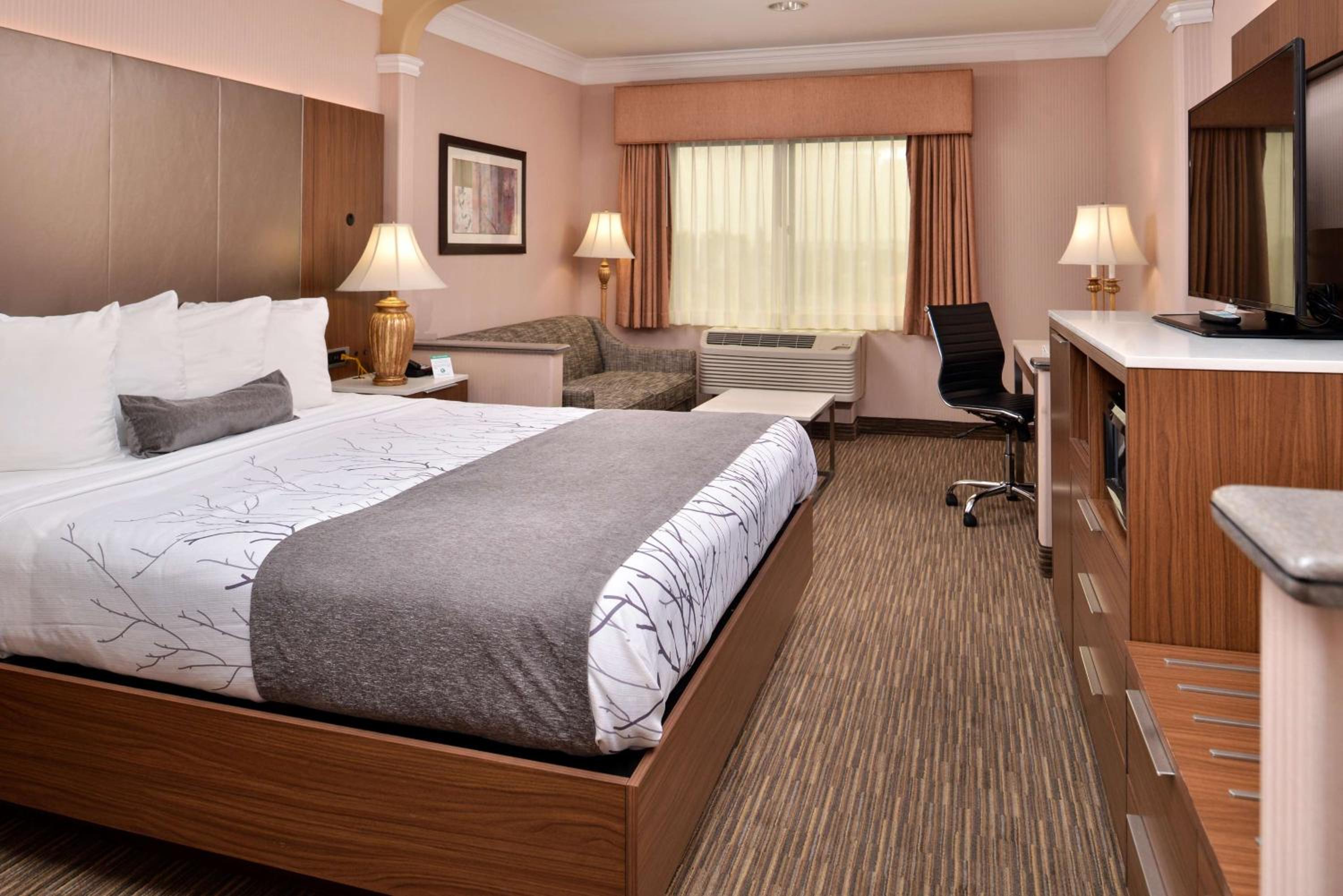 King Room with Sofa Bed and Pool View - Non-Smoking - Photo 3