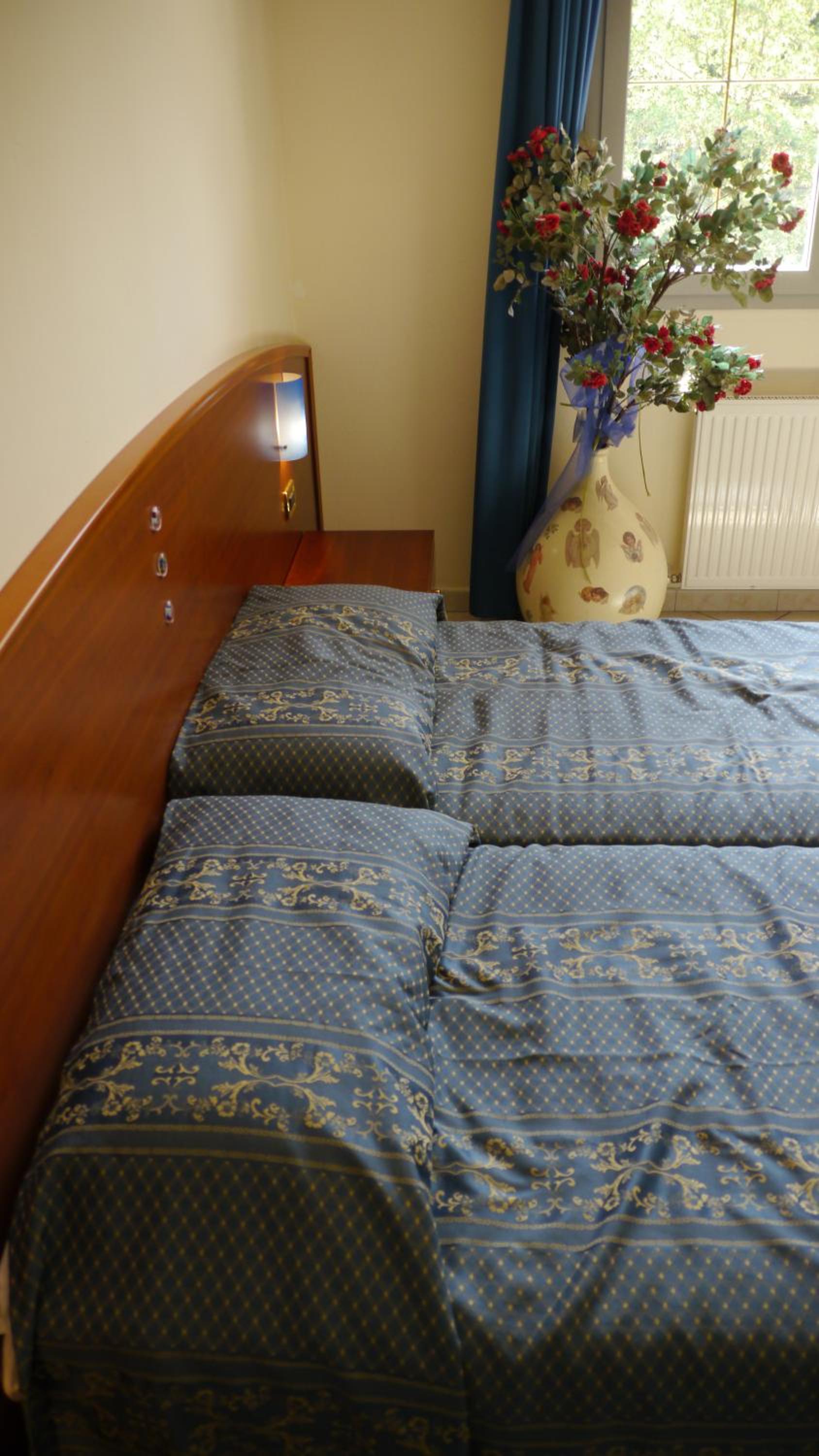 Double or Twin Room photo 3