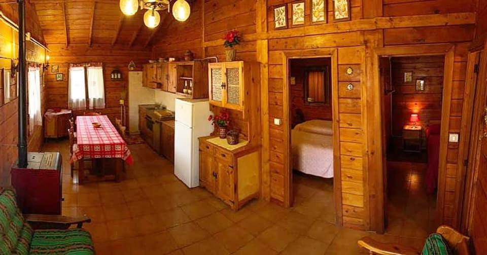 Vacation Home photo 3