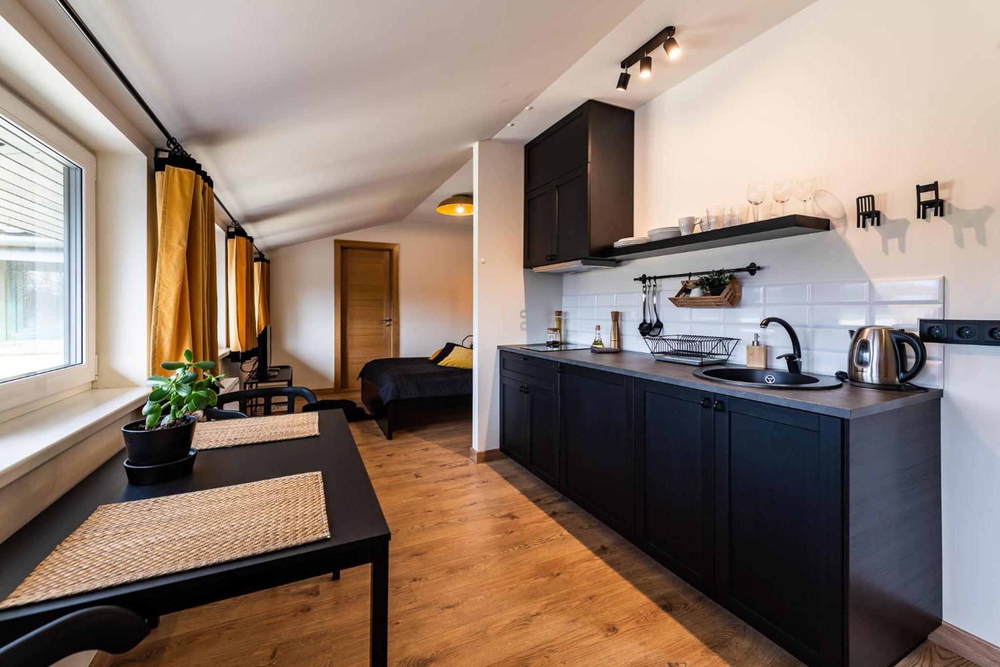 Studio Apartment photo 1