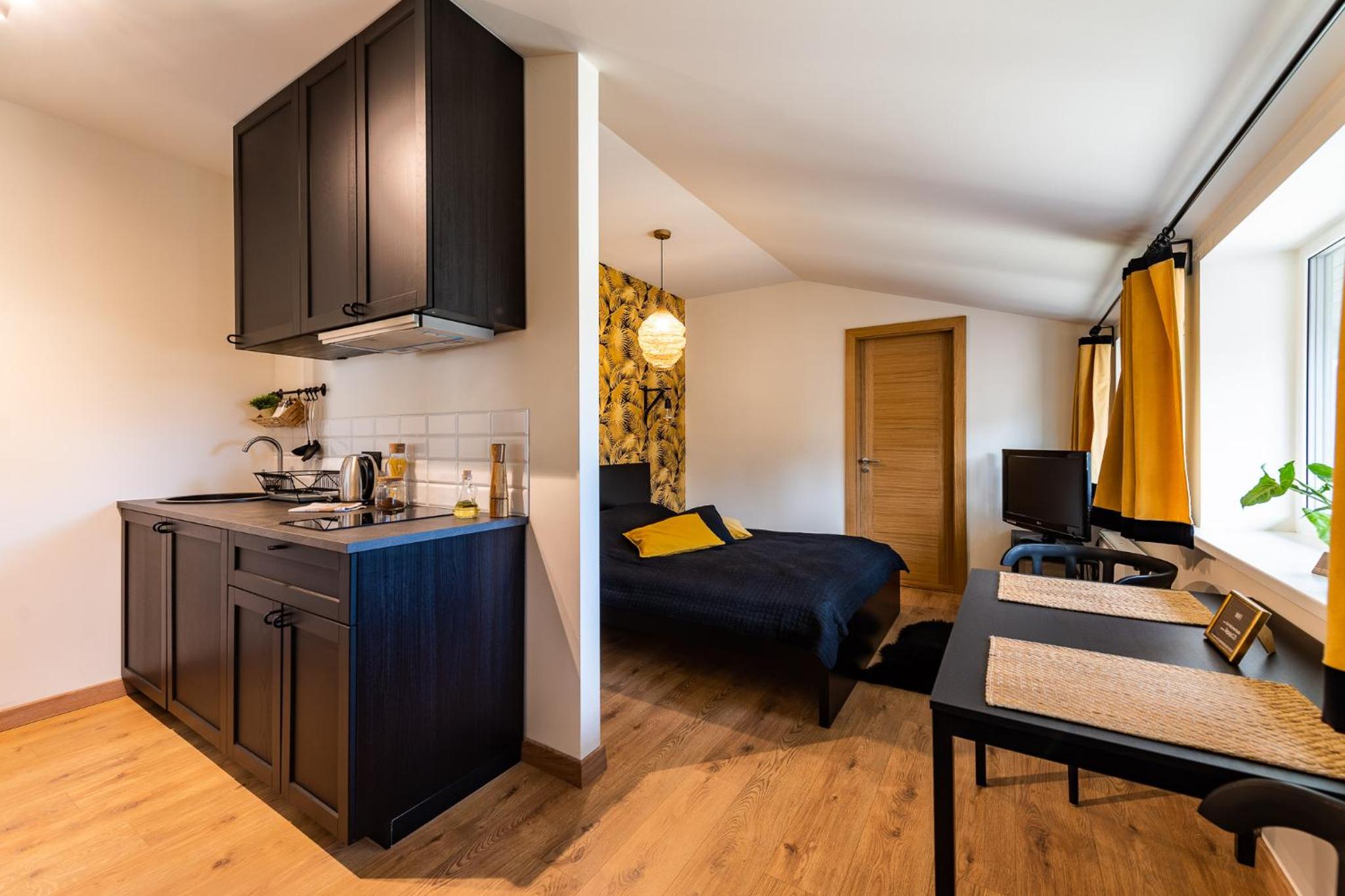 Studio Apartment photo 1