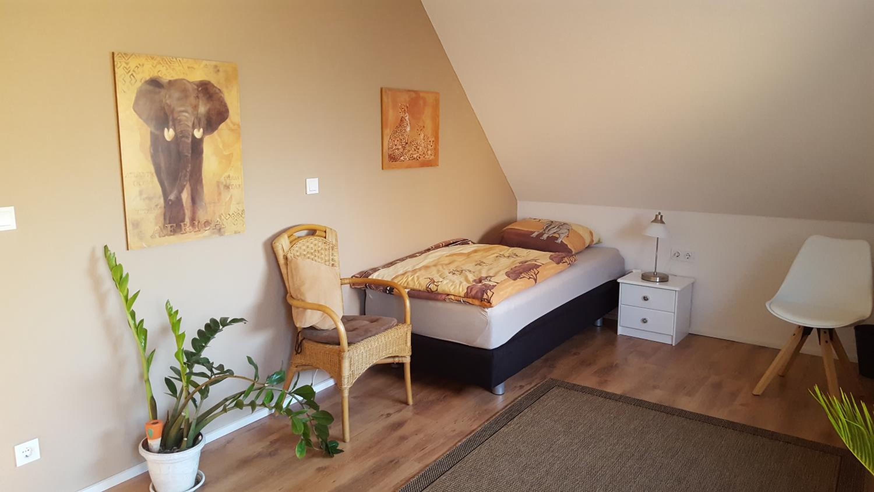 Budget Single Room