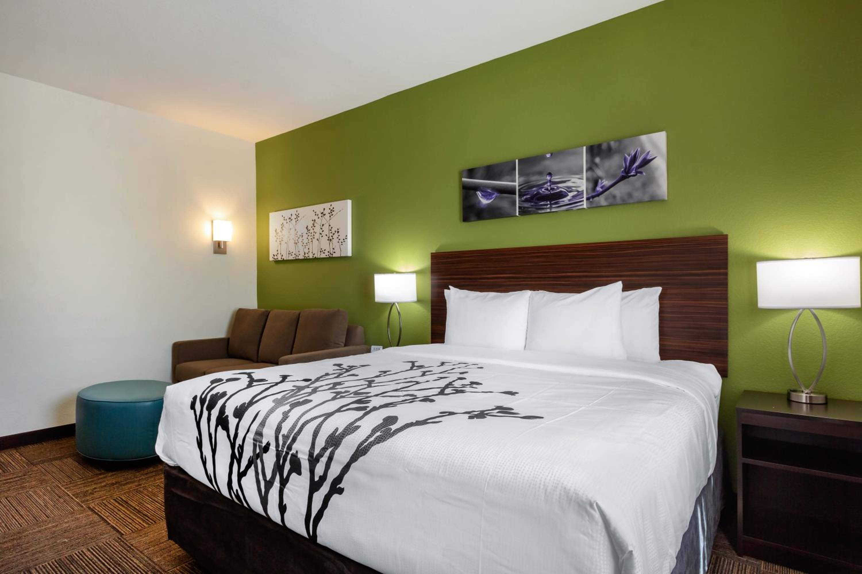 King Suite with Sofa Bed - Non-Smoking - Photo 2