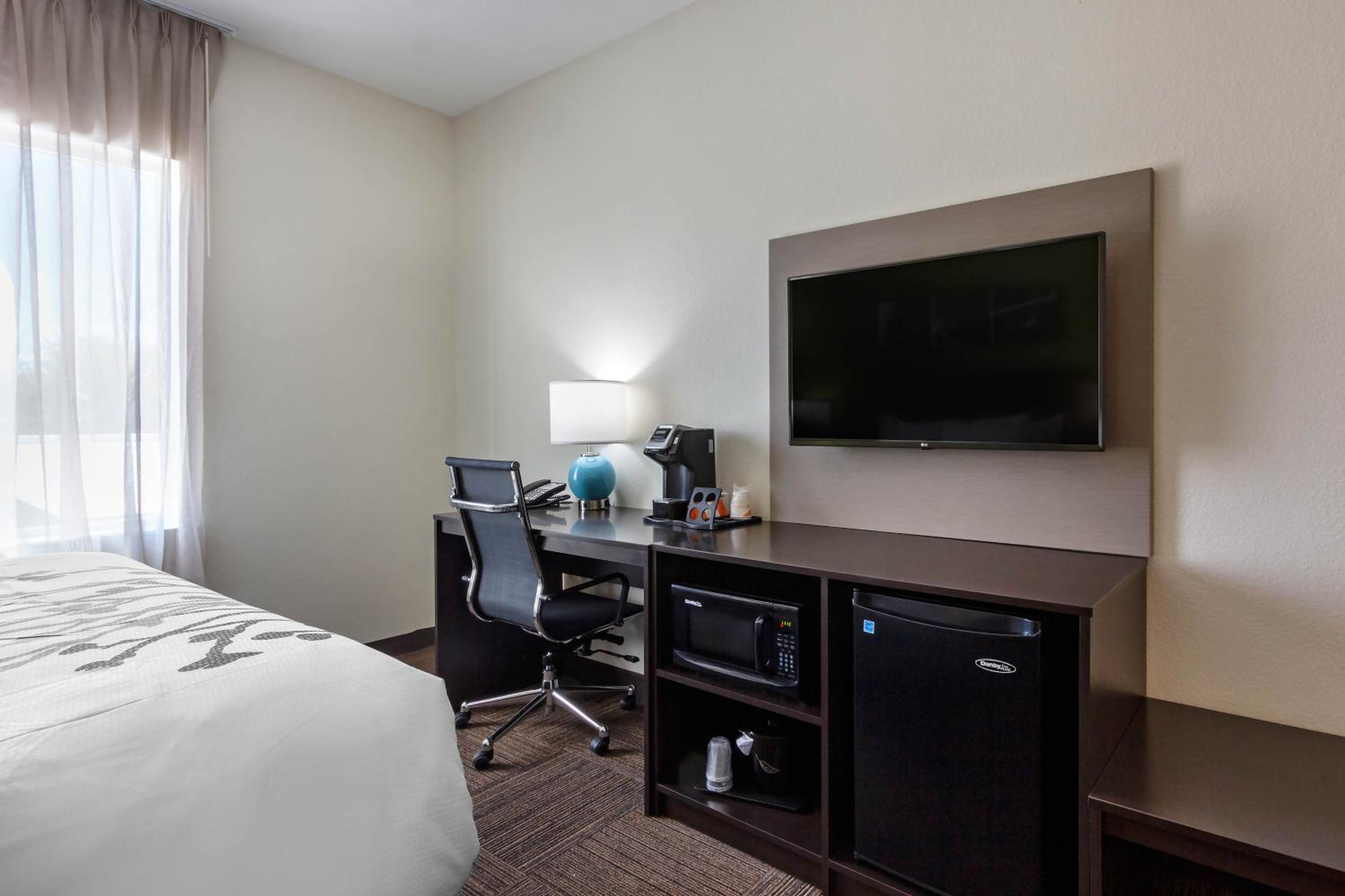 King Suite with Sofa Bed - Non-Smoking - Photo 3
