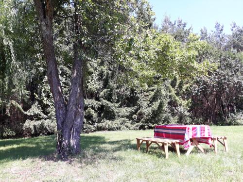 Holiday Home photo 1