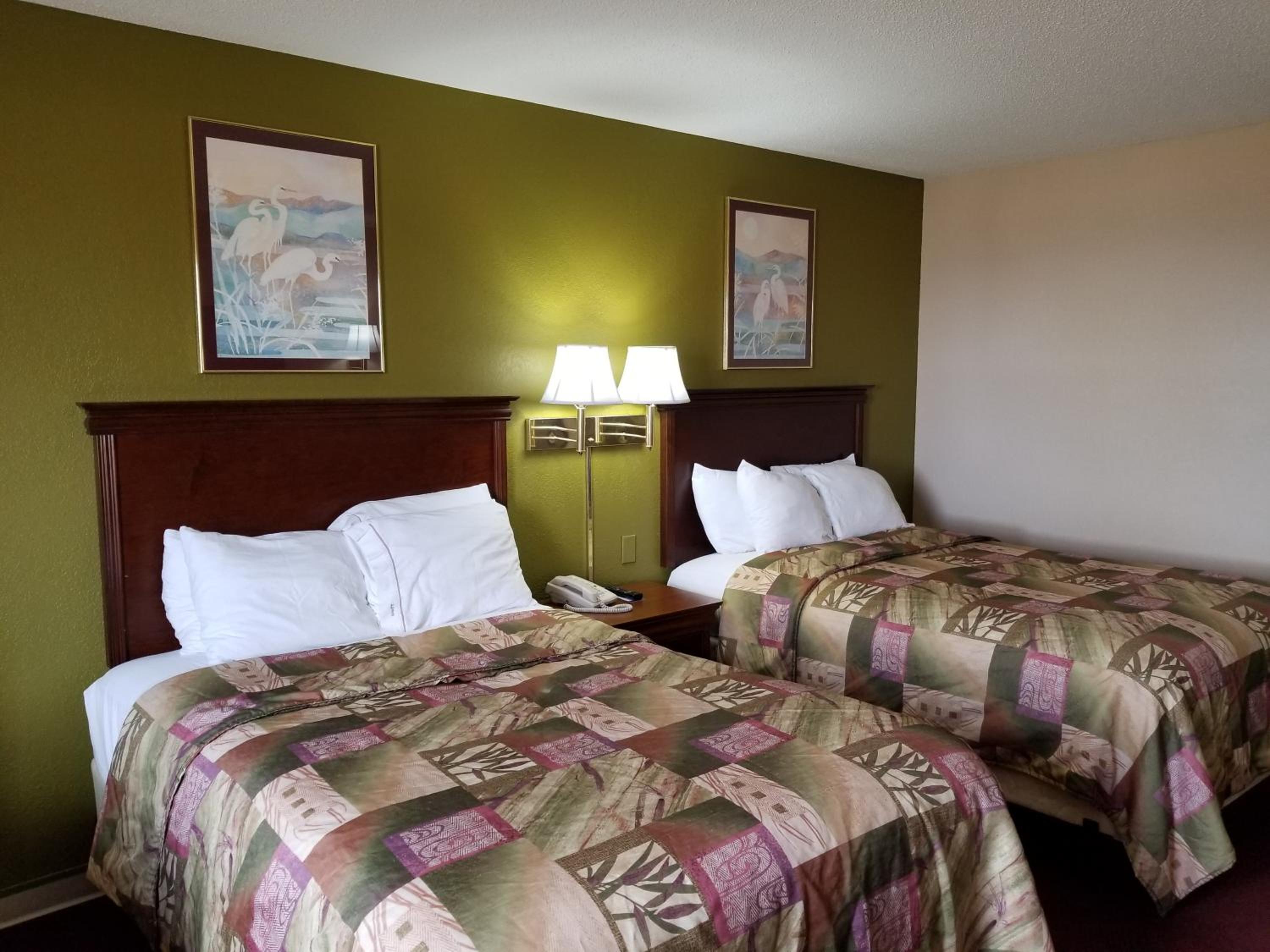 Double Room photo 1