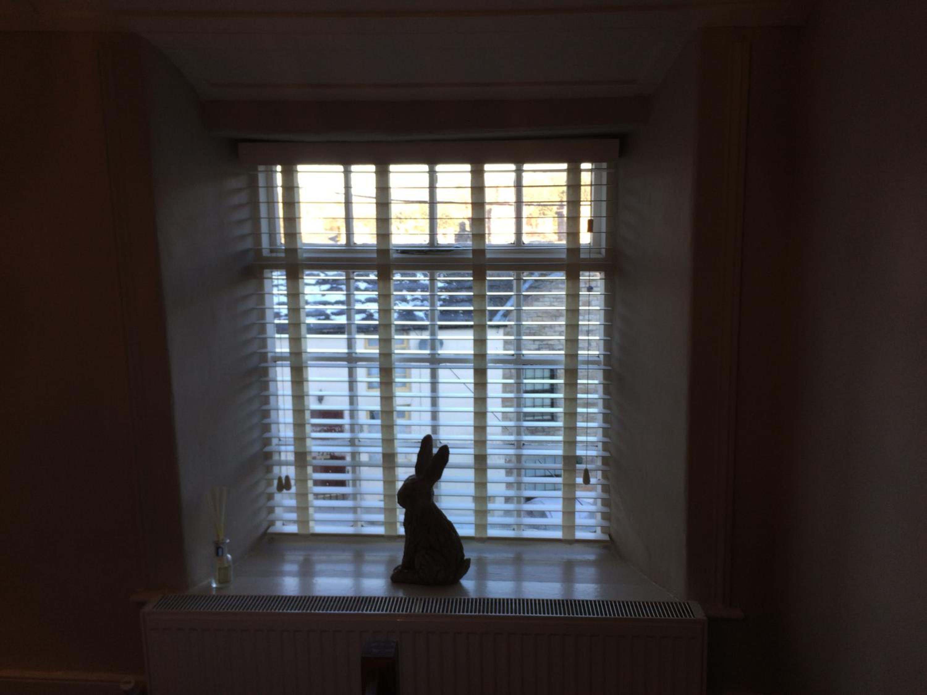 Apartment - Photo 11