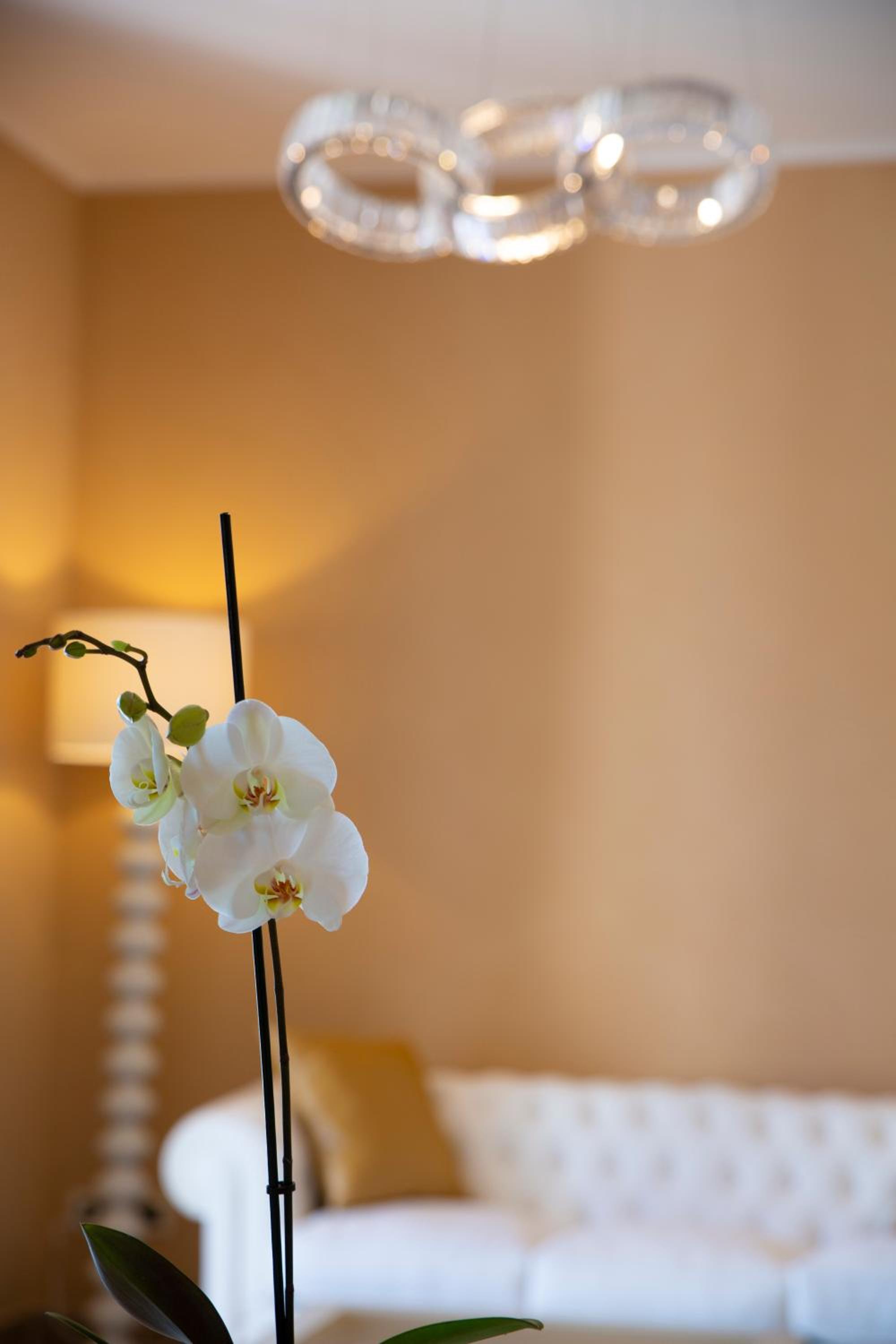 Junior Suite with Terrace - Photo 4