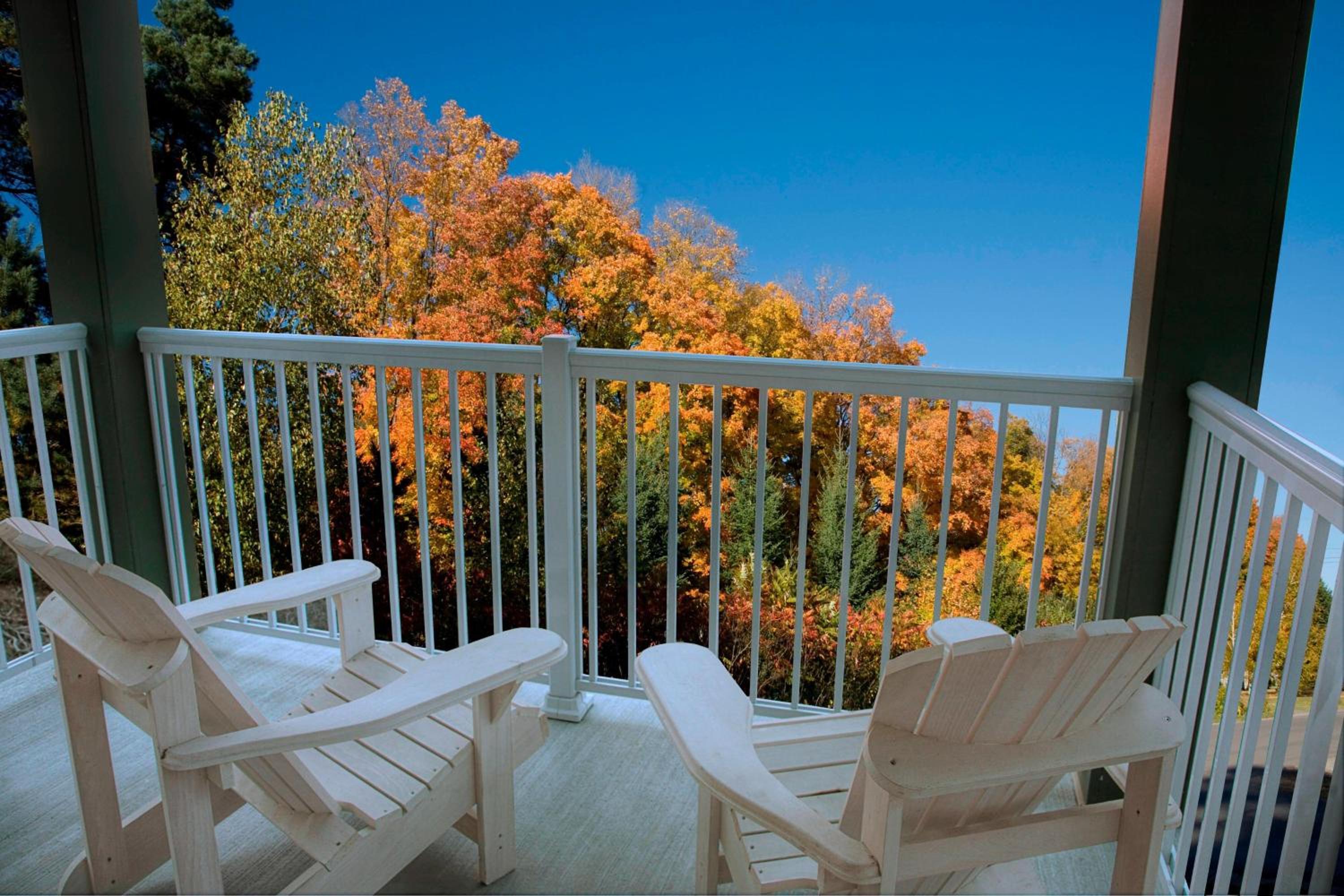 One-Bedroom King Suite - No Lake View, photo 6
