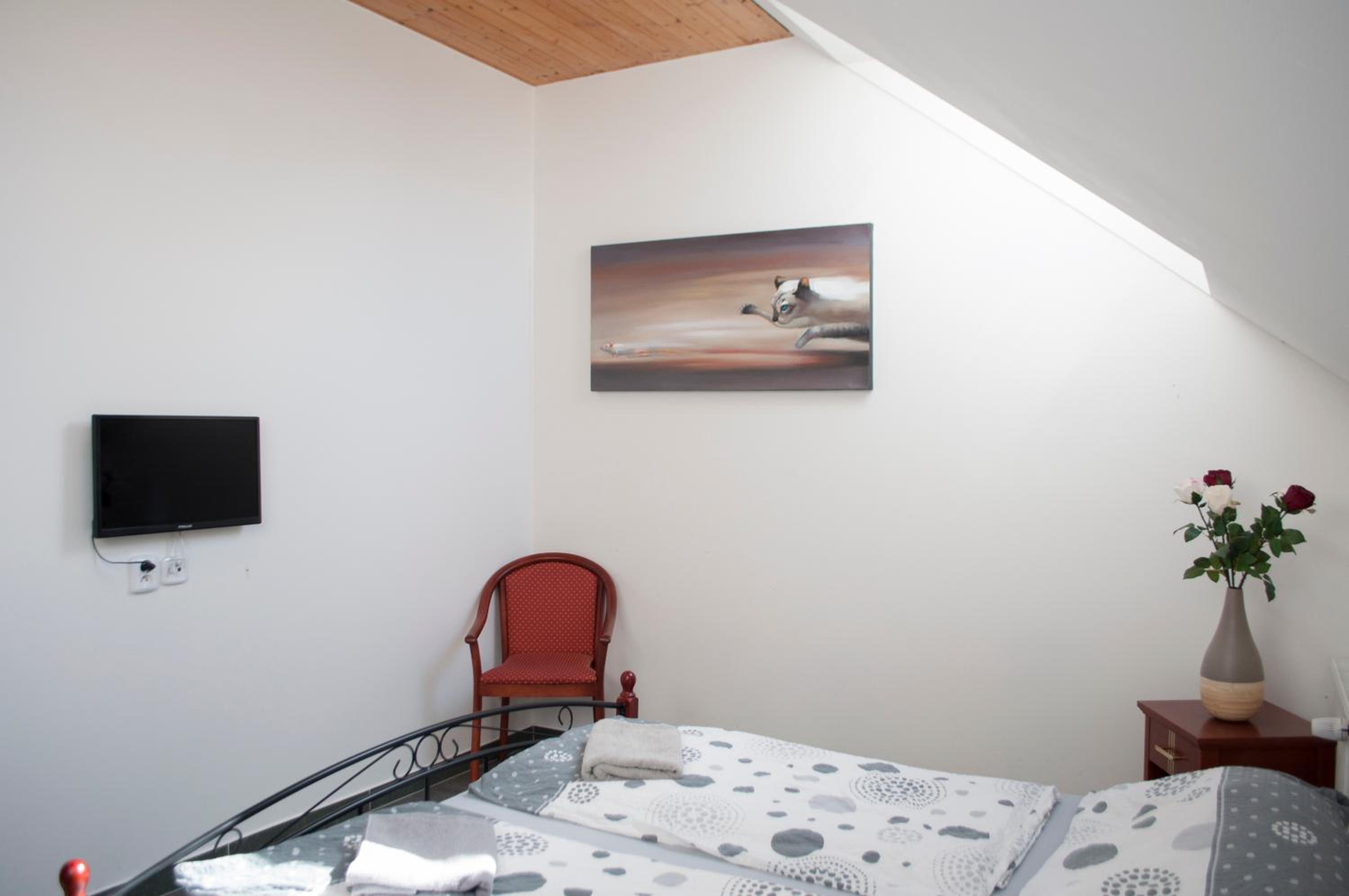 Deluxe Double Room with Shower - Photo 9