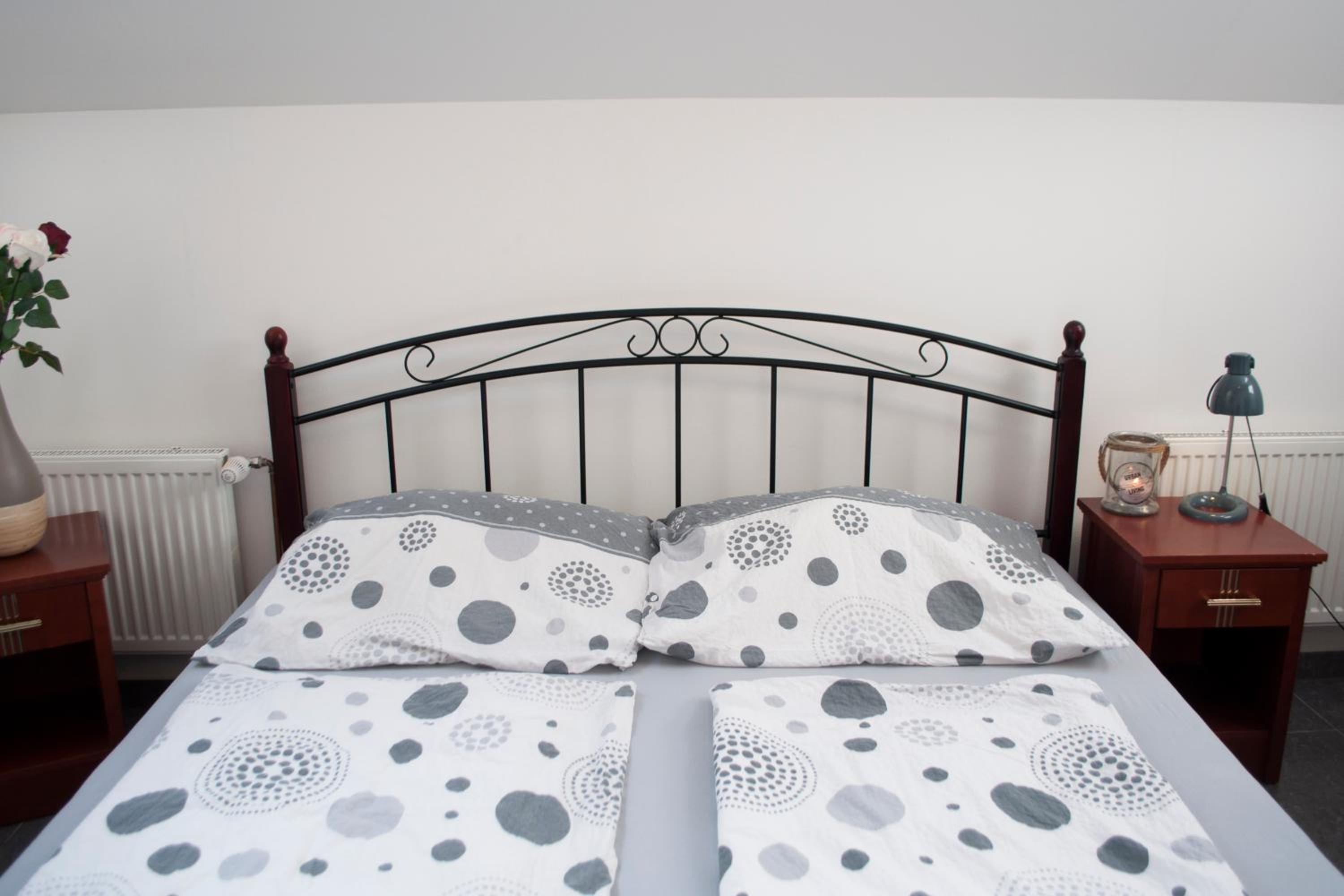 Deluxe Double Room with Shower - Photo 8