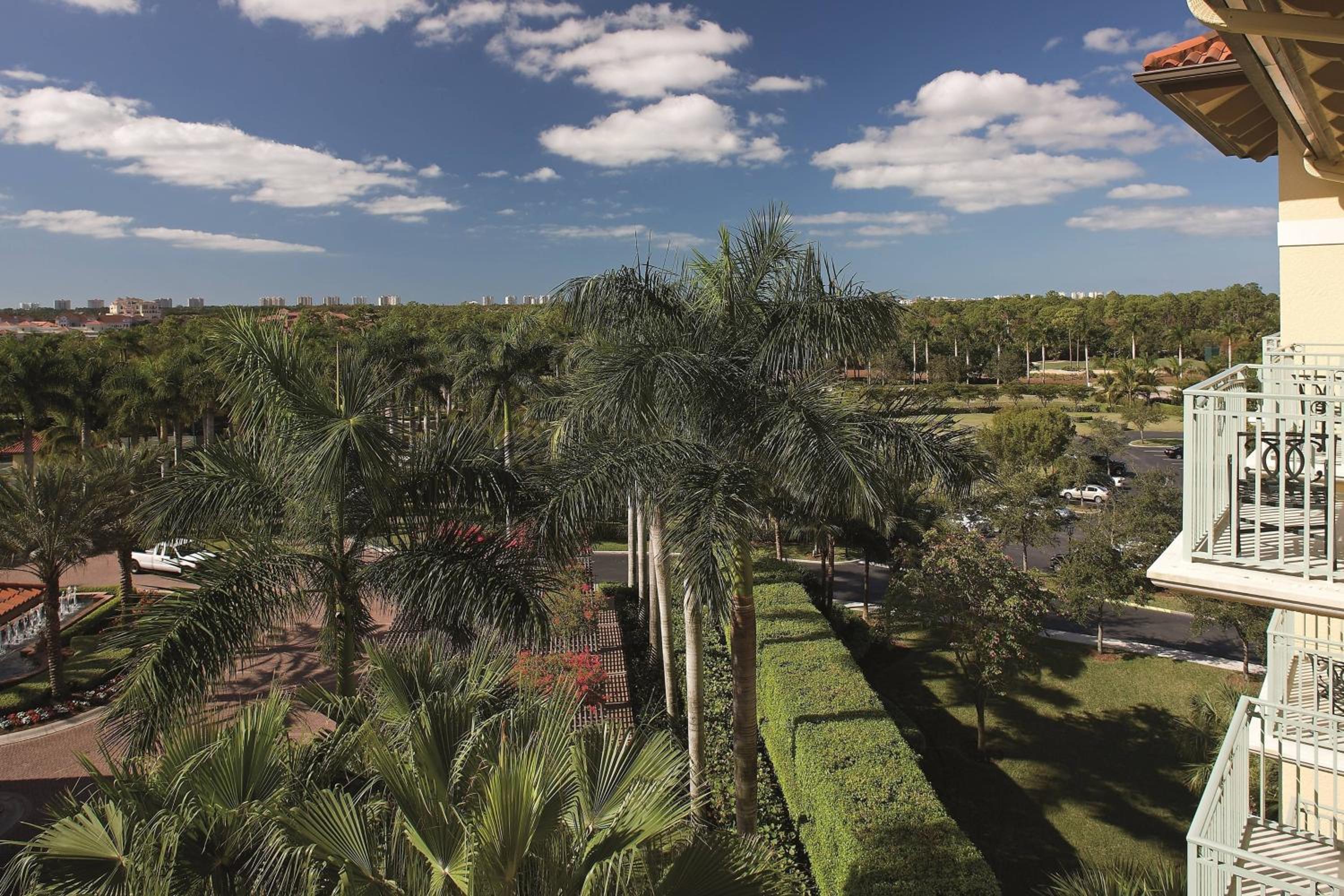 One-Bedroom King Suite with Sofa Bed and Resort View - Hearing Accessible