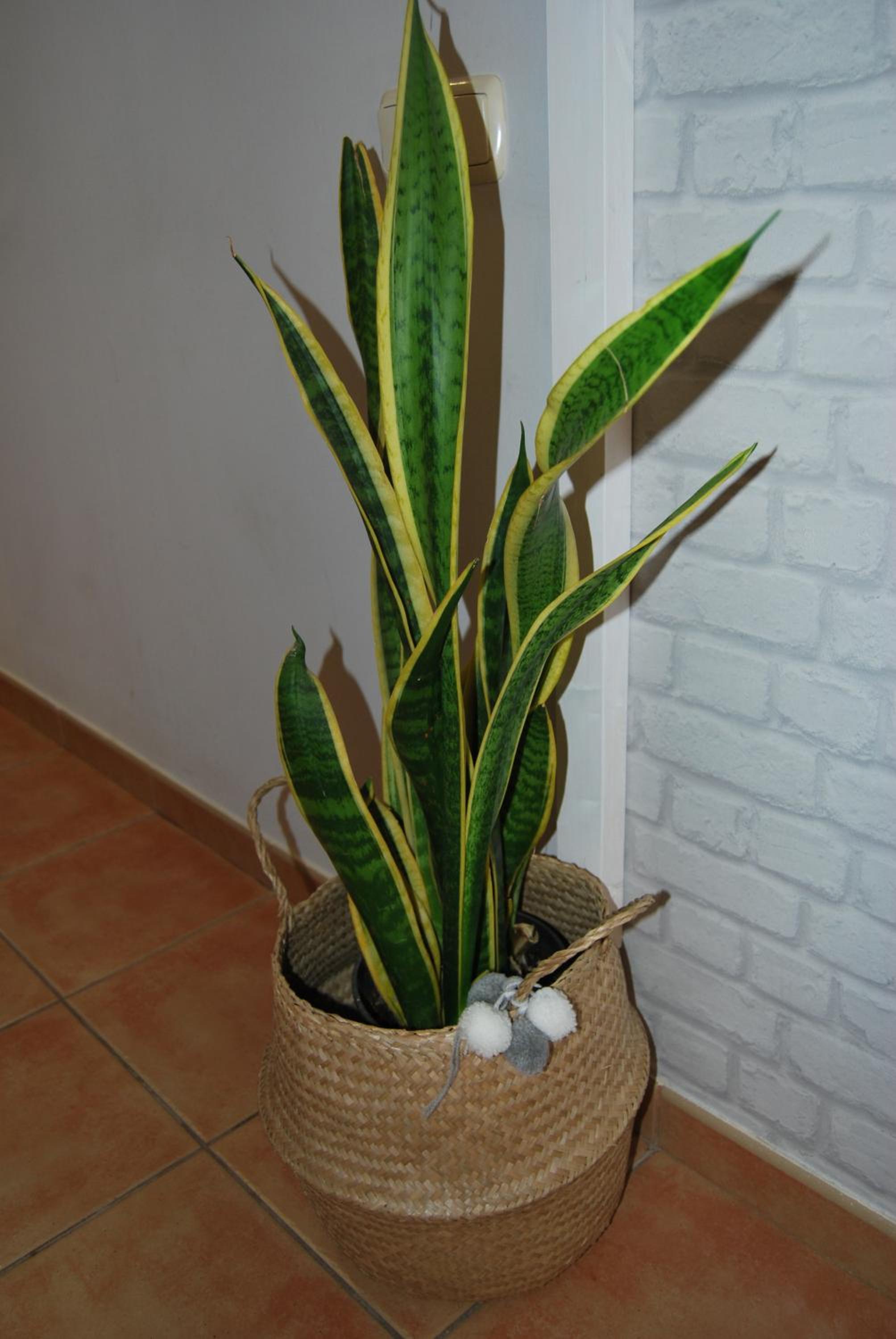 Apartment - Photo 49