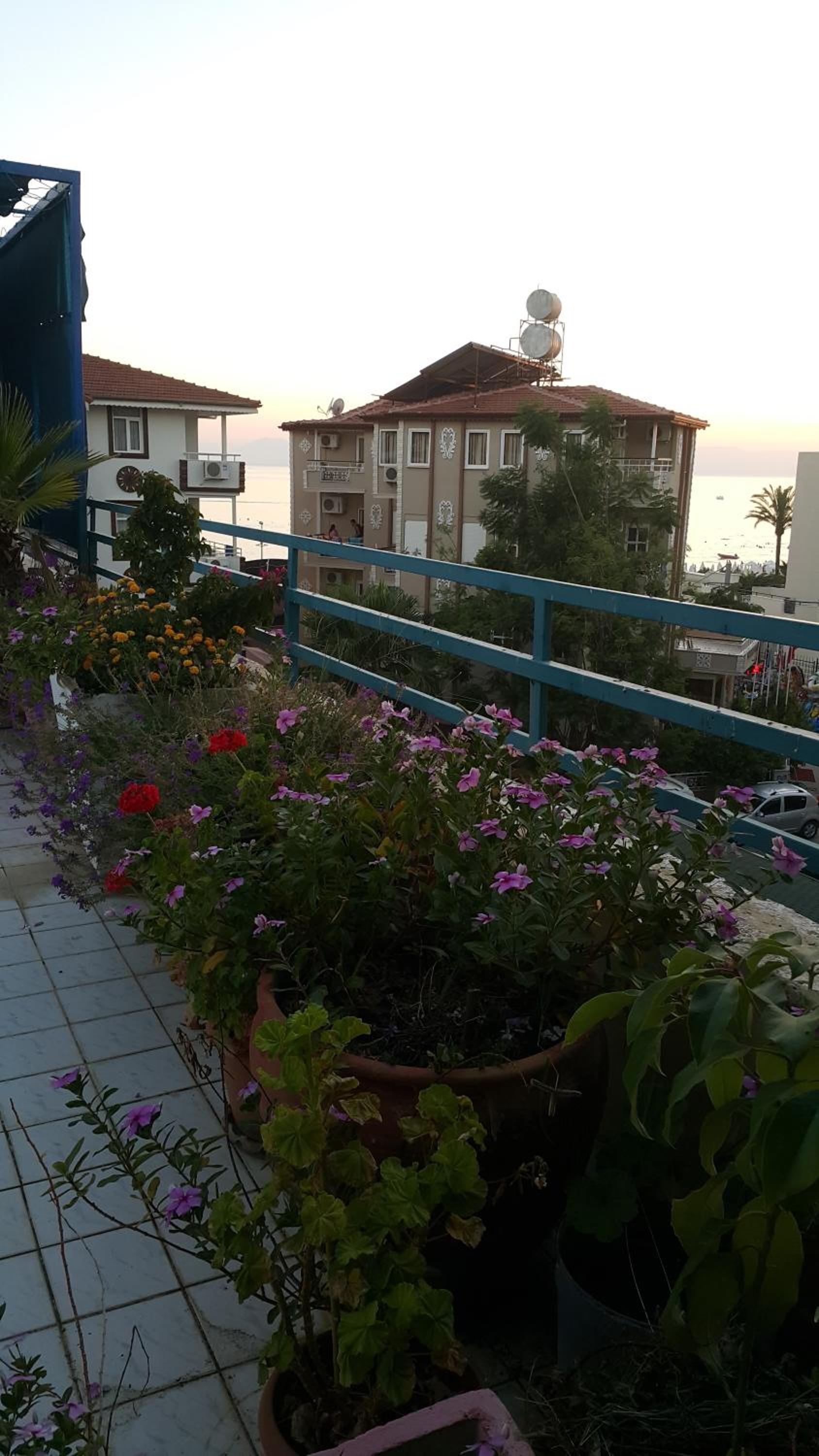 Apartment with Terrace photo 2