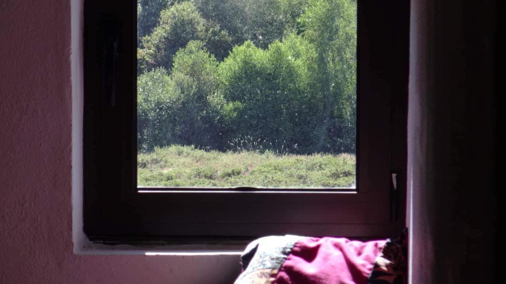 4-Bed Mixed Dormitory Room photo 2