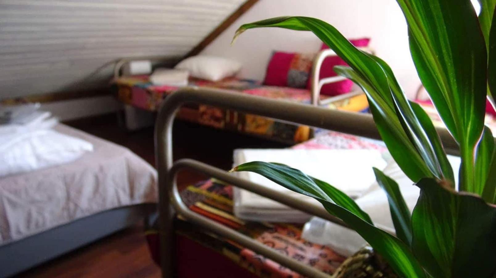 4-Bed Mixed Dormitory Room photo 3