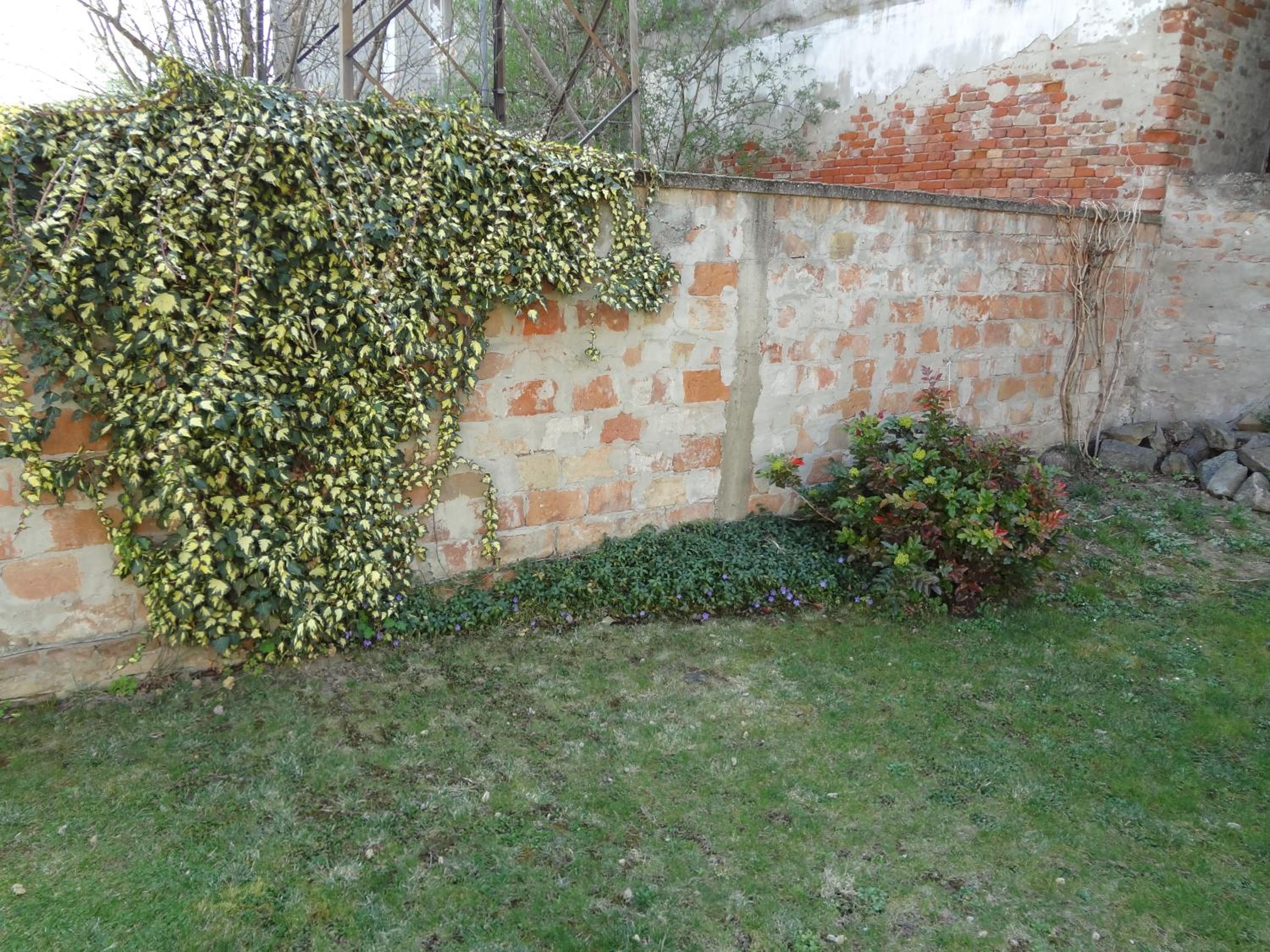 Apartment with Terrace - Photo 8