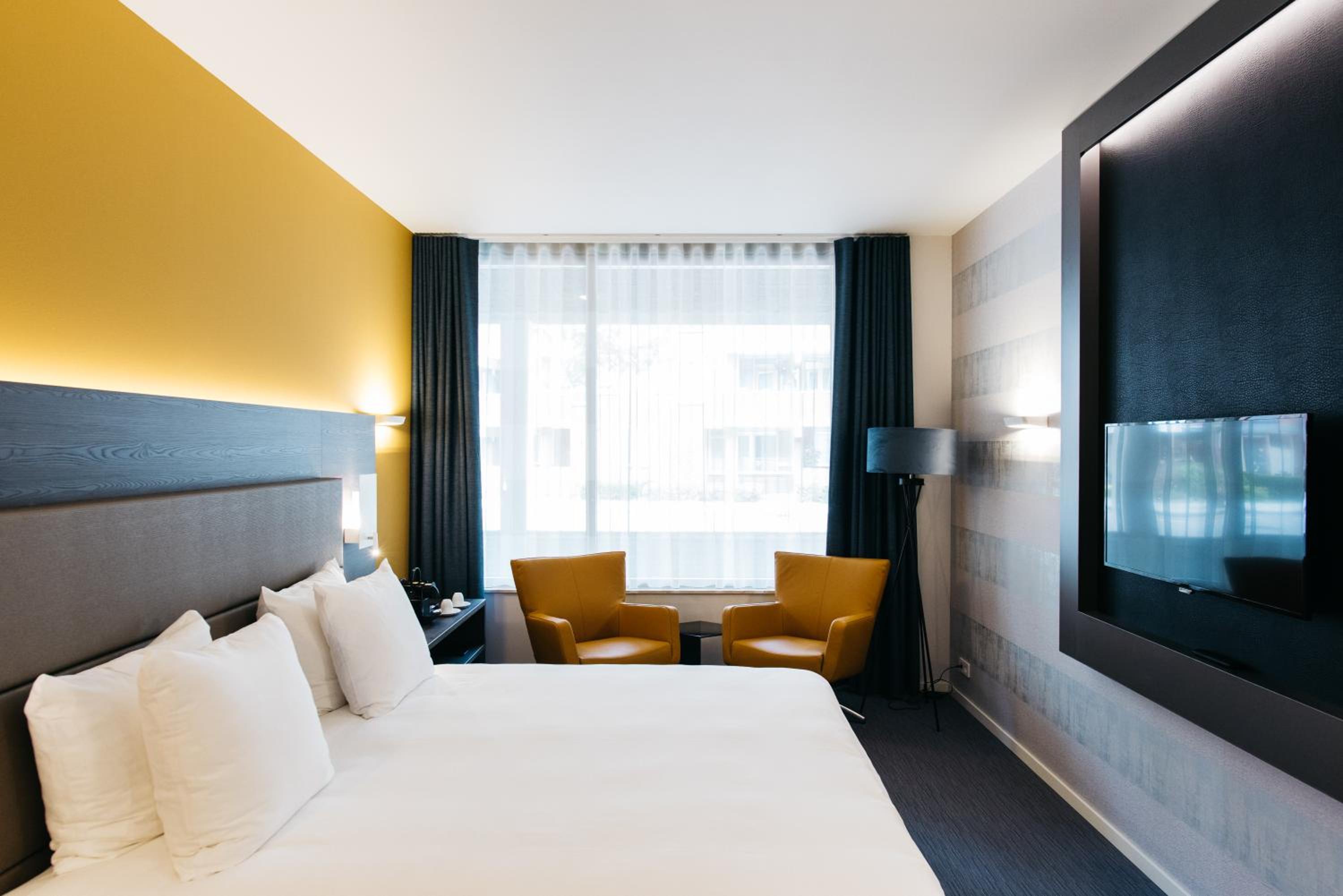 Suite - Photo 1