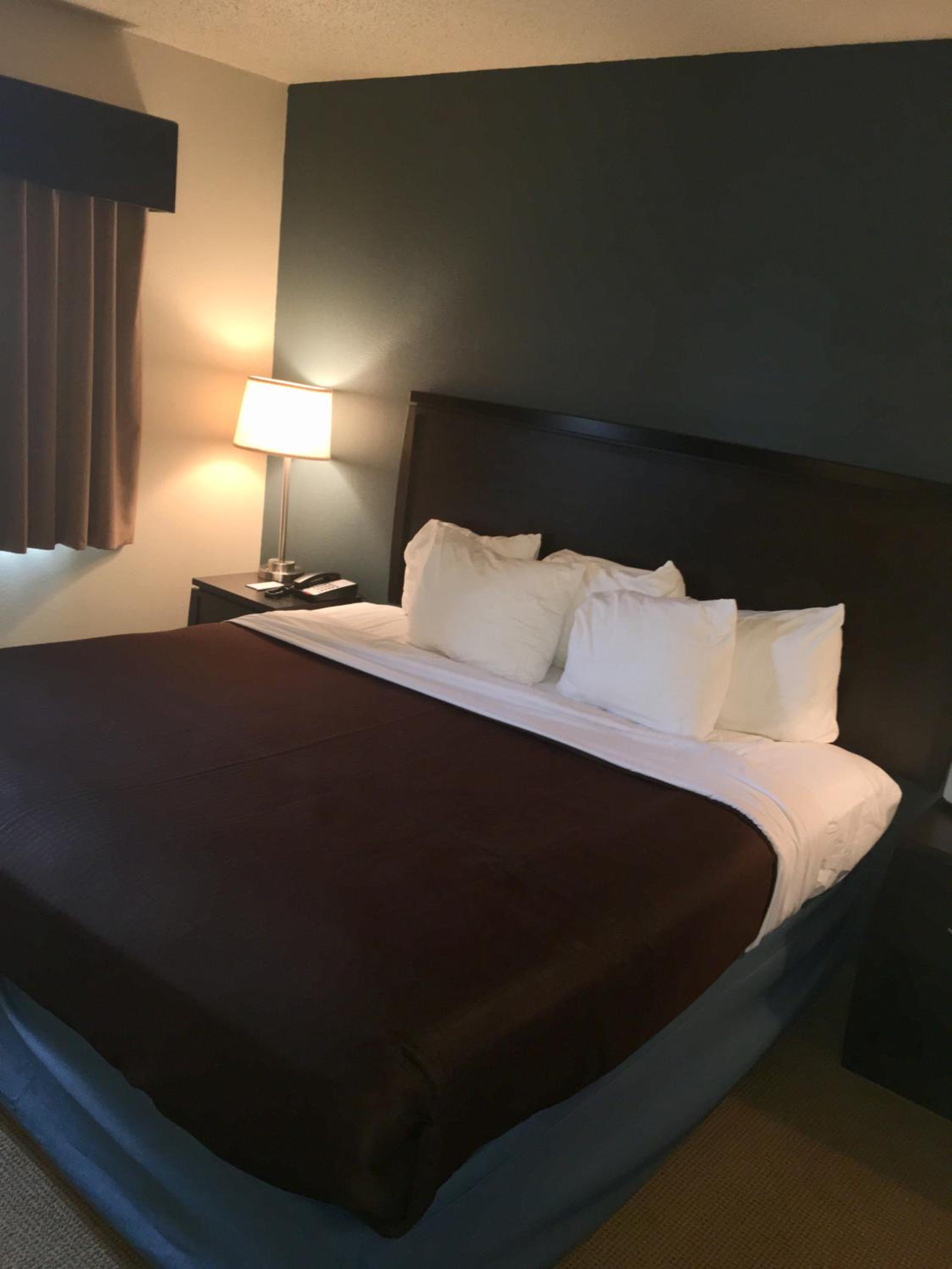 One Bedroom King Suite - Non-Smoking - Photo 1