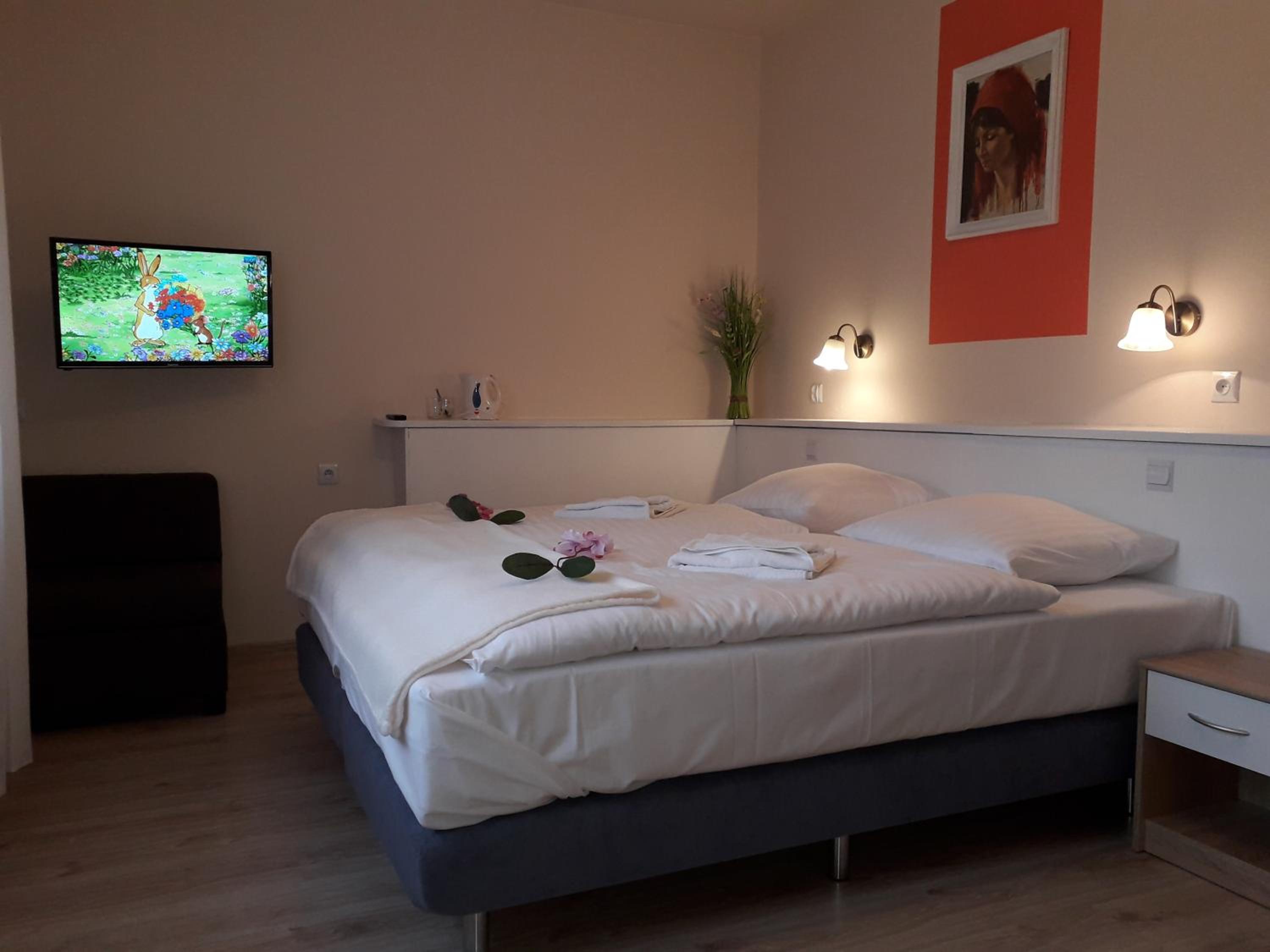 Double Room photo 1