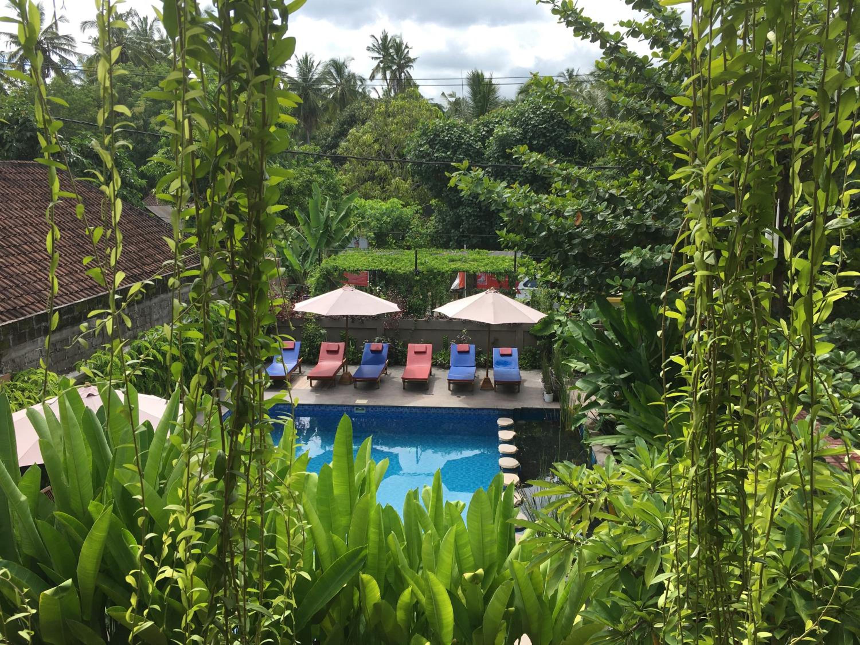 Deluxe Double or Twin Room with Pool View photo 2